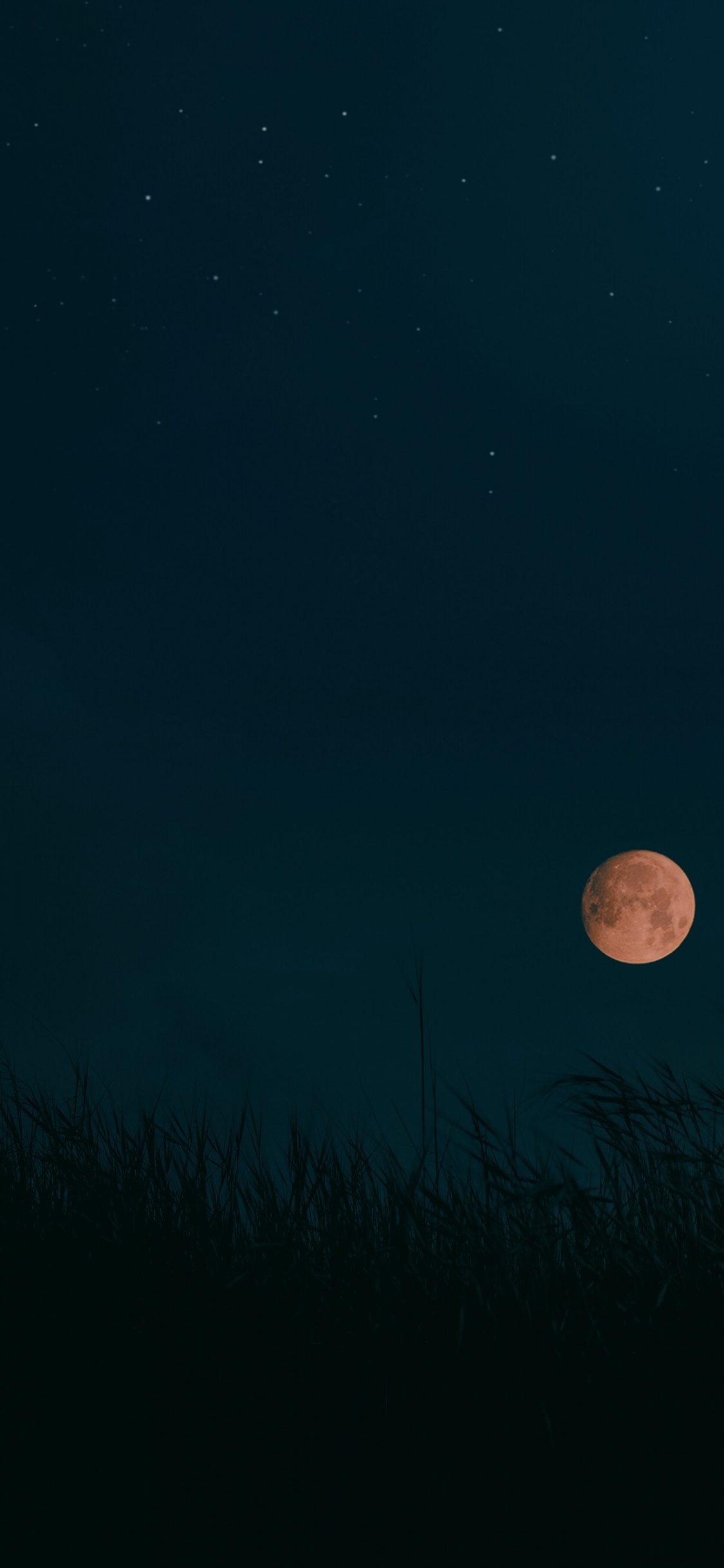 Harvest Moon, Pleine Lune, Objet Astronomique, Événement Céleste, Nuit. Wallpaper in 1125x2436 Resolution
