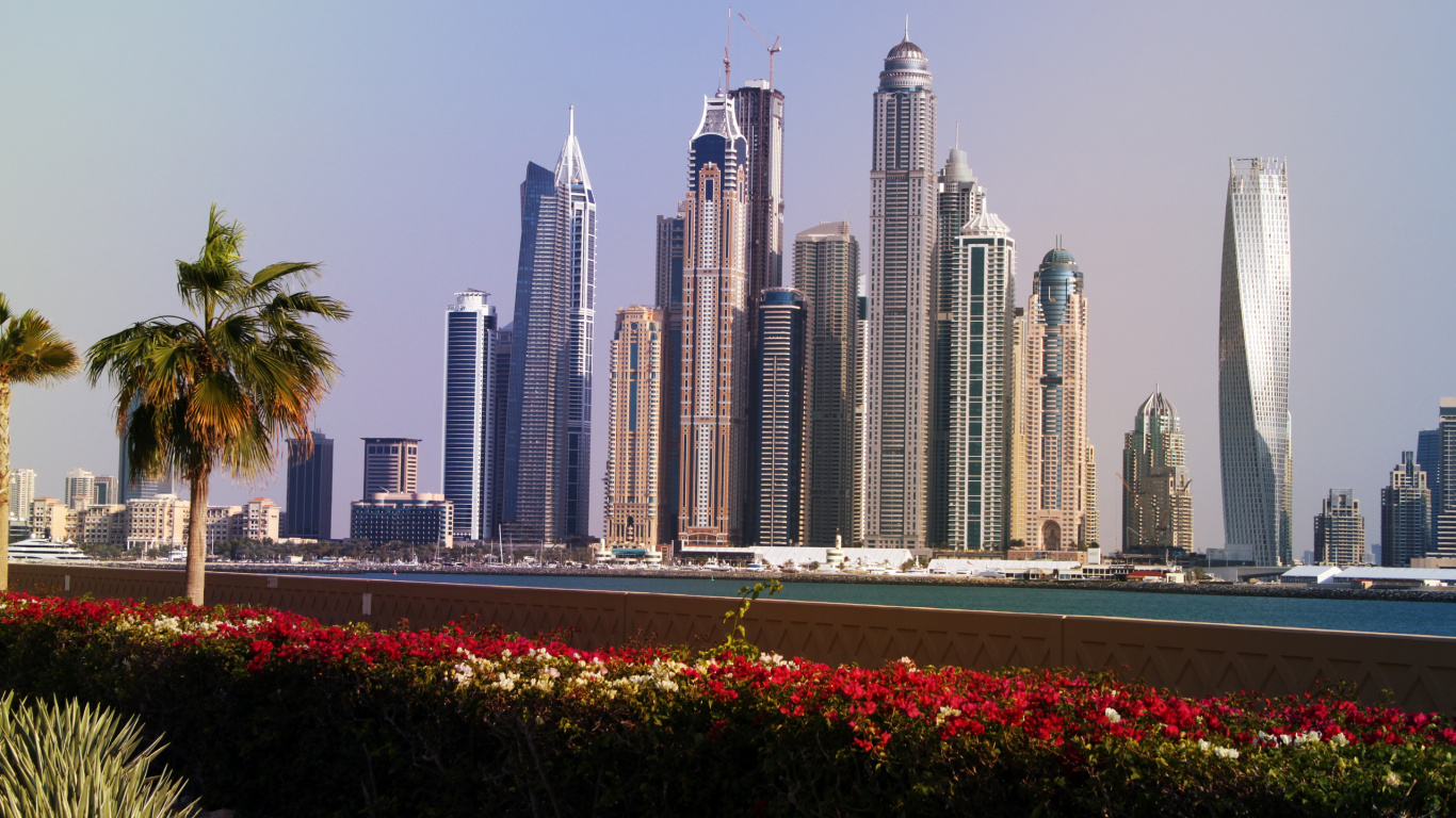 Red Flowers Near City Buildings During Daytime. Wallpaper in 1366x768 Resolution