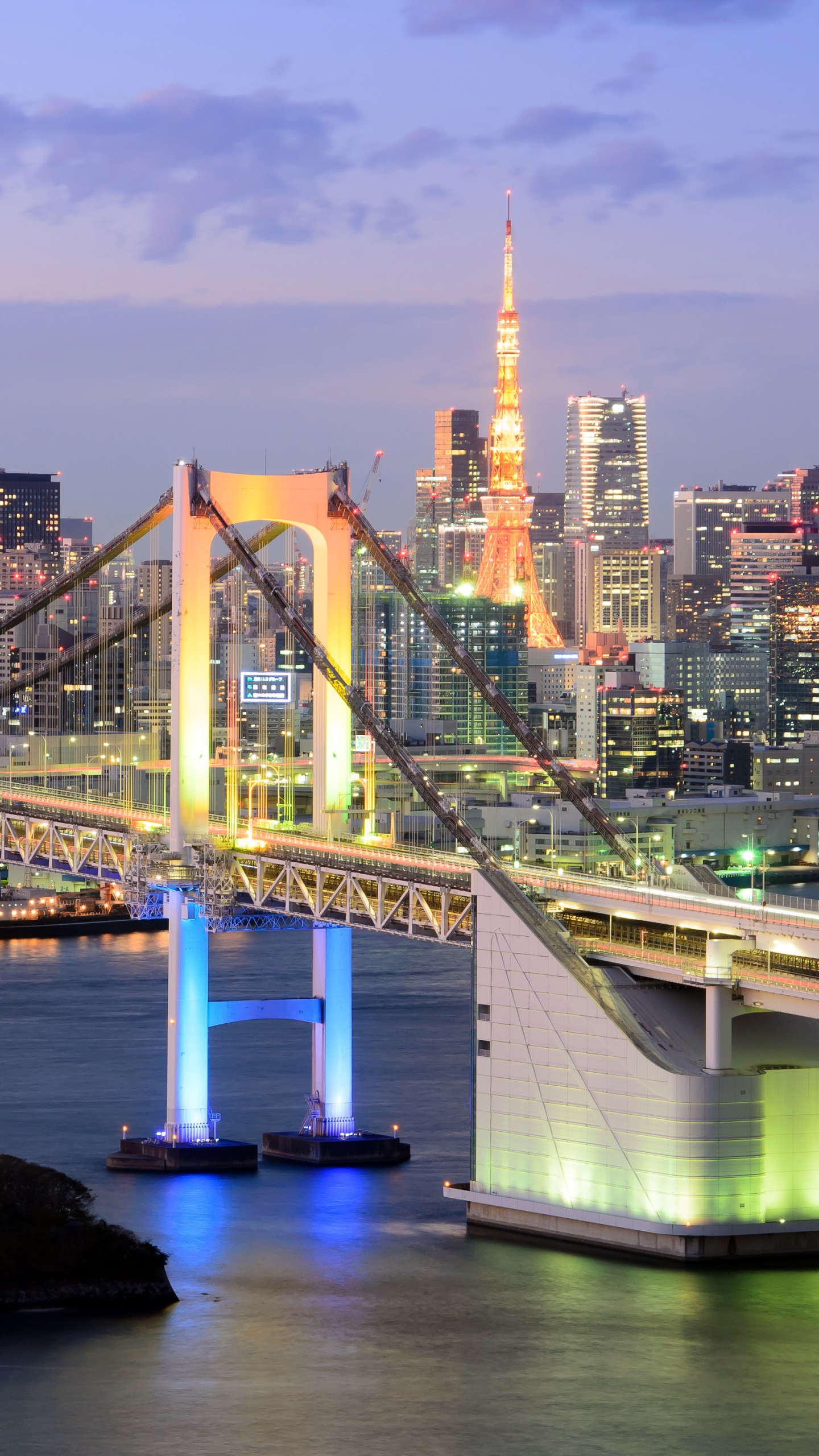 彩虹桥, 东京湾, 城市景观, 城市, 天际线 壁纸 1440x2560 允许