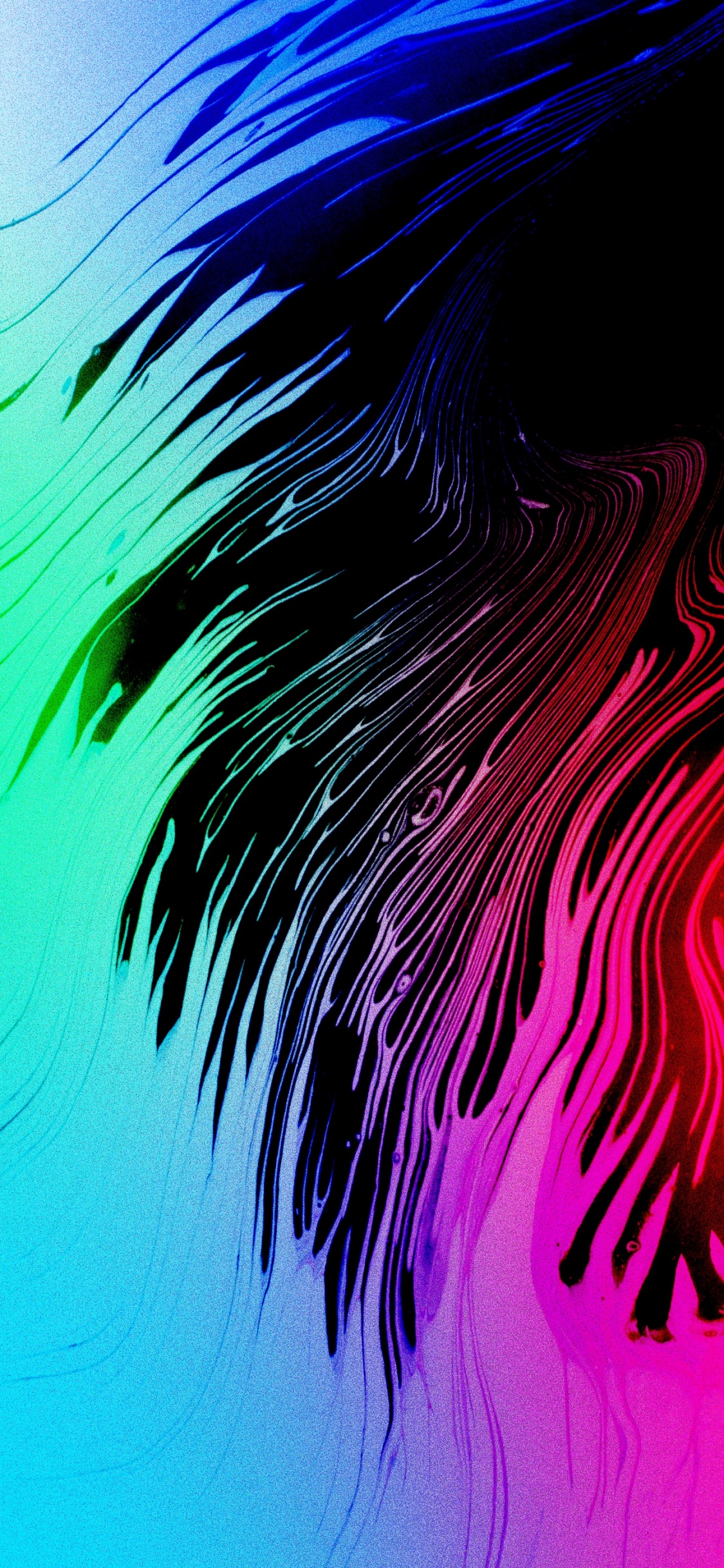 Fermer, Lumière, Eau, Art, Plante Terrestre. Wallpaper in 1125x2436 Resolution