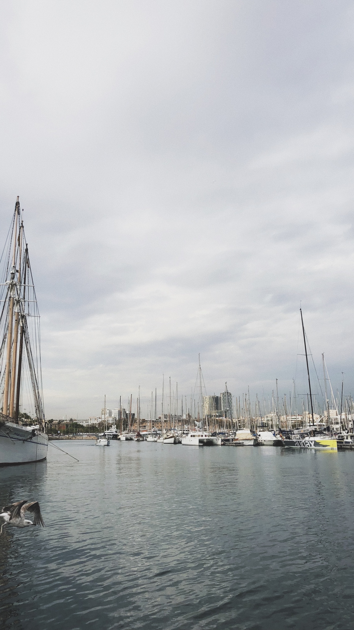 Marina, Sail, Water, Boat, Sailing. Wallpaper in 1440x2560 Resolution