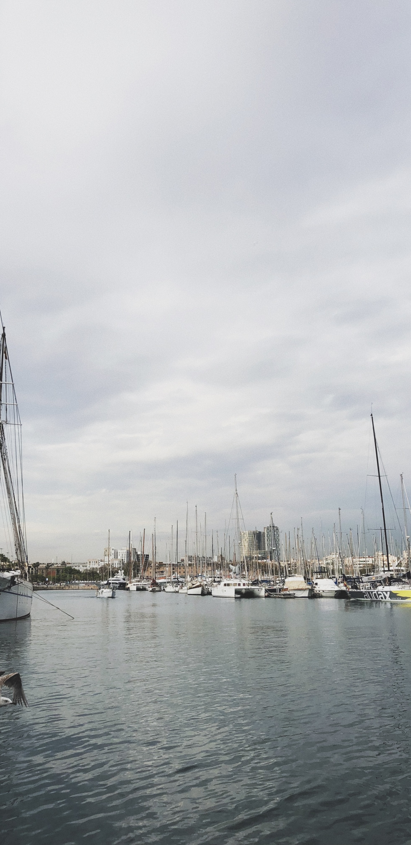 Marina, Segel, Wasser, Boot, Segeln. Wallpaper in 1440x2960 Resolution