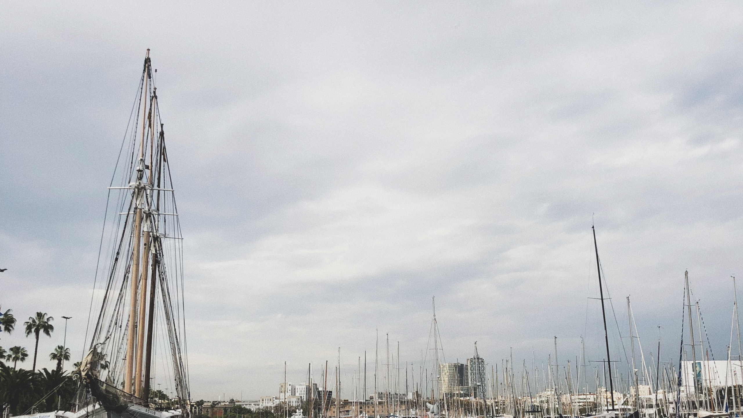 Marina, Segel, Wasser, Boot, Segeln. Wallpaper in 2560x1440 Resolution