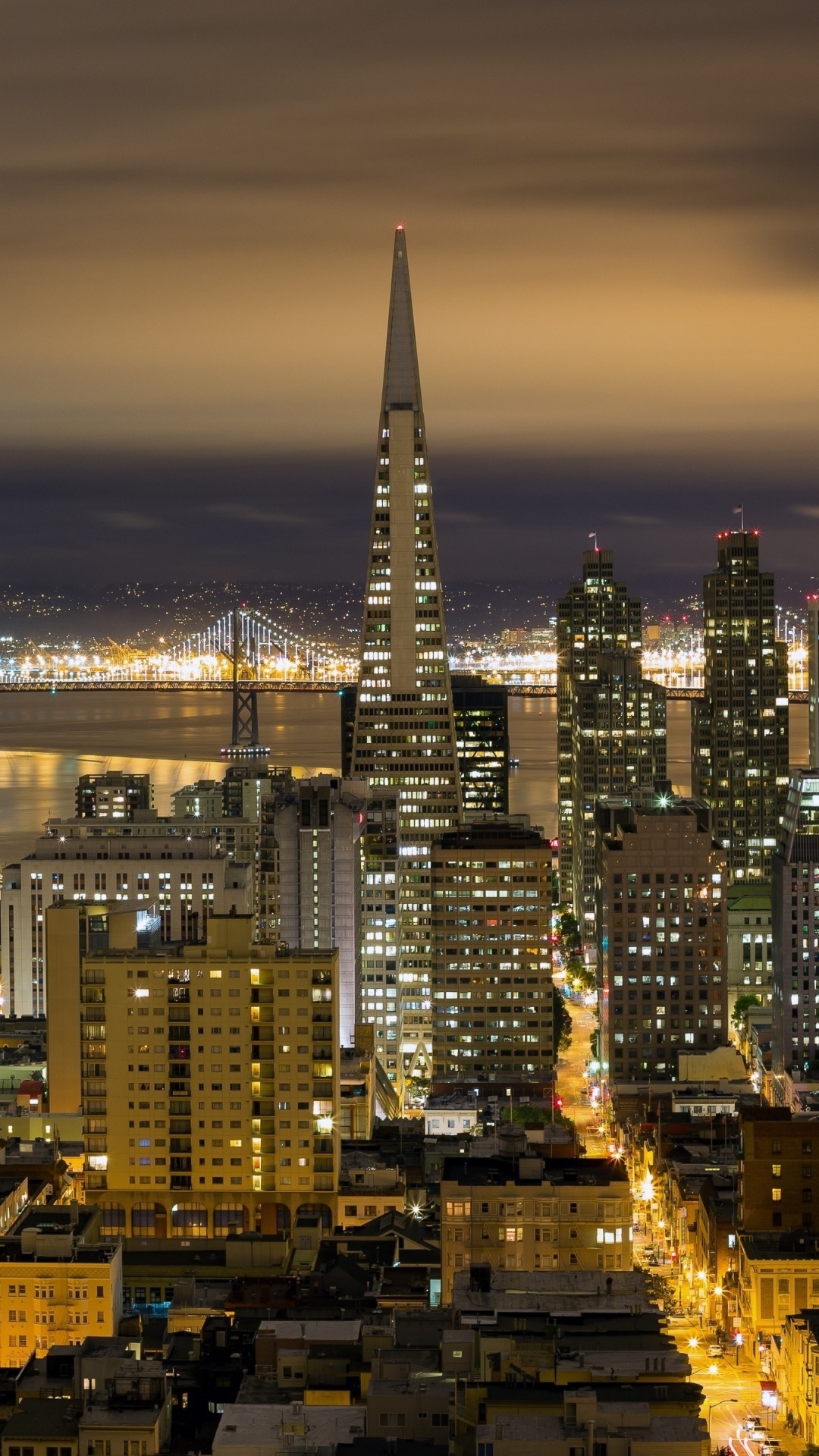 Skyline Der Stadt Bei Nacht Night. Wallpaper in 1080x1920 Resolution