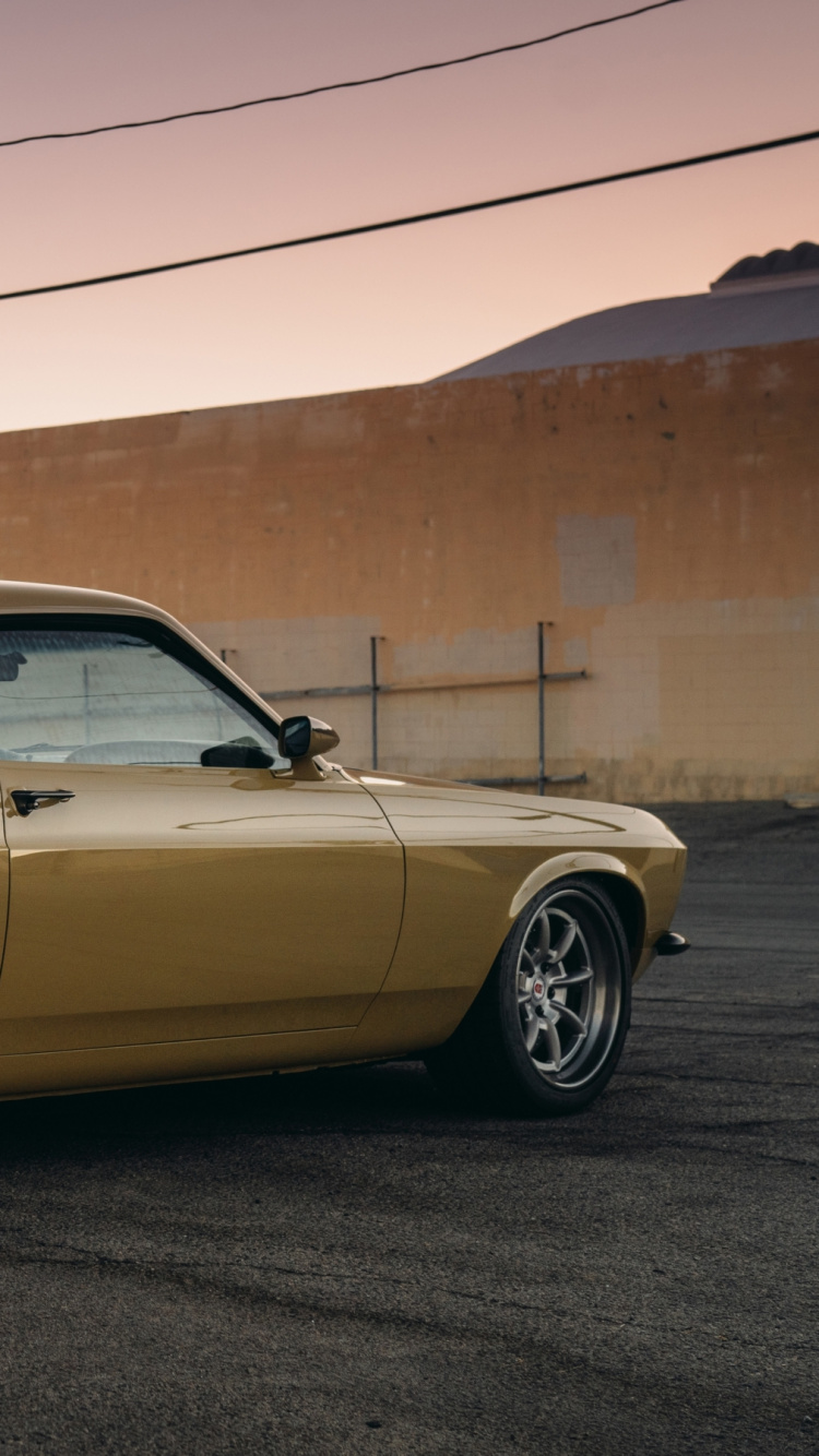 Speedkore Rdj Chef 302, Boss 429, Boss 302 Mustang, König, Chevrolet Camaro. Wallpaper in 750x1334 Resolution