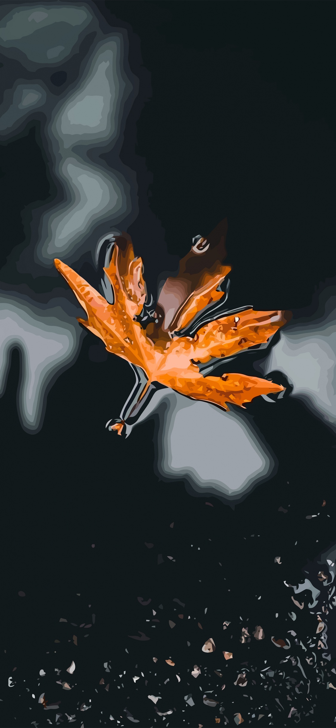 Naranja, Capucha, Pétalo, Agua, Iluminación Automotriz. Wallpaper in 1125x2436 Resolution