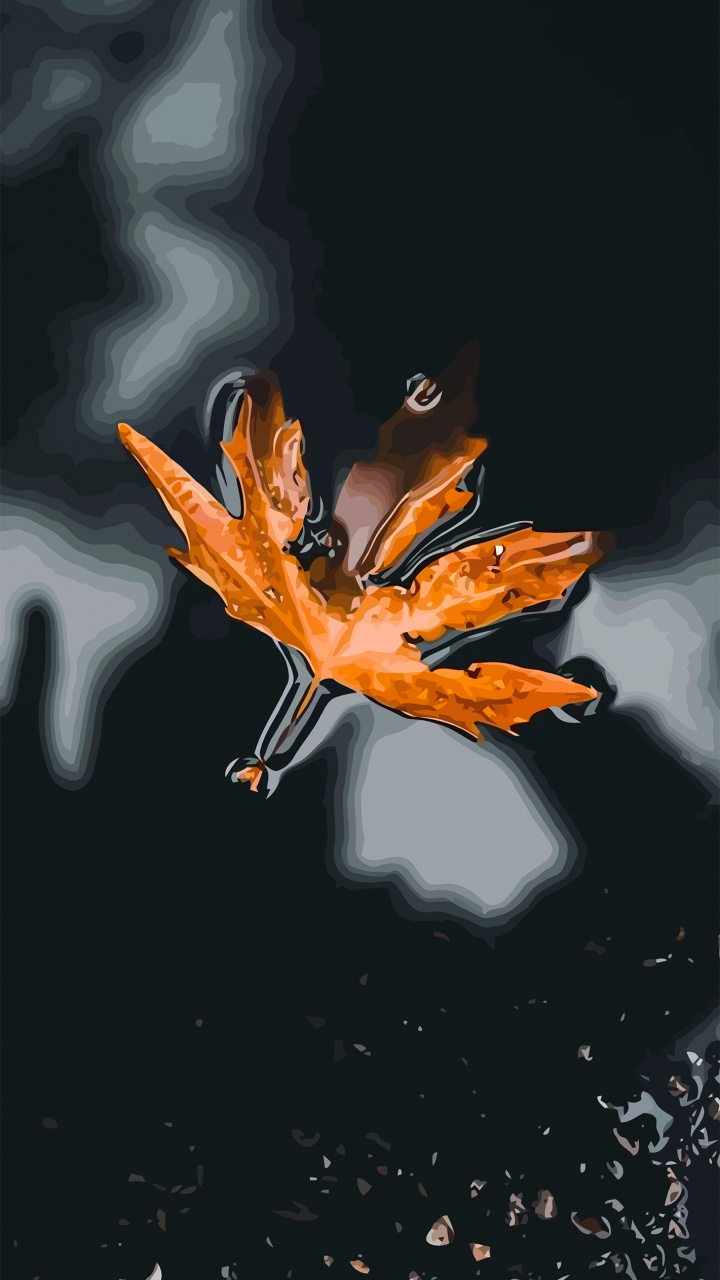 Orange, Kapuze, Blütenblatt, Wasser, Automotive Lighting. Wallpaper in 720x1280 Resolution