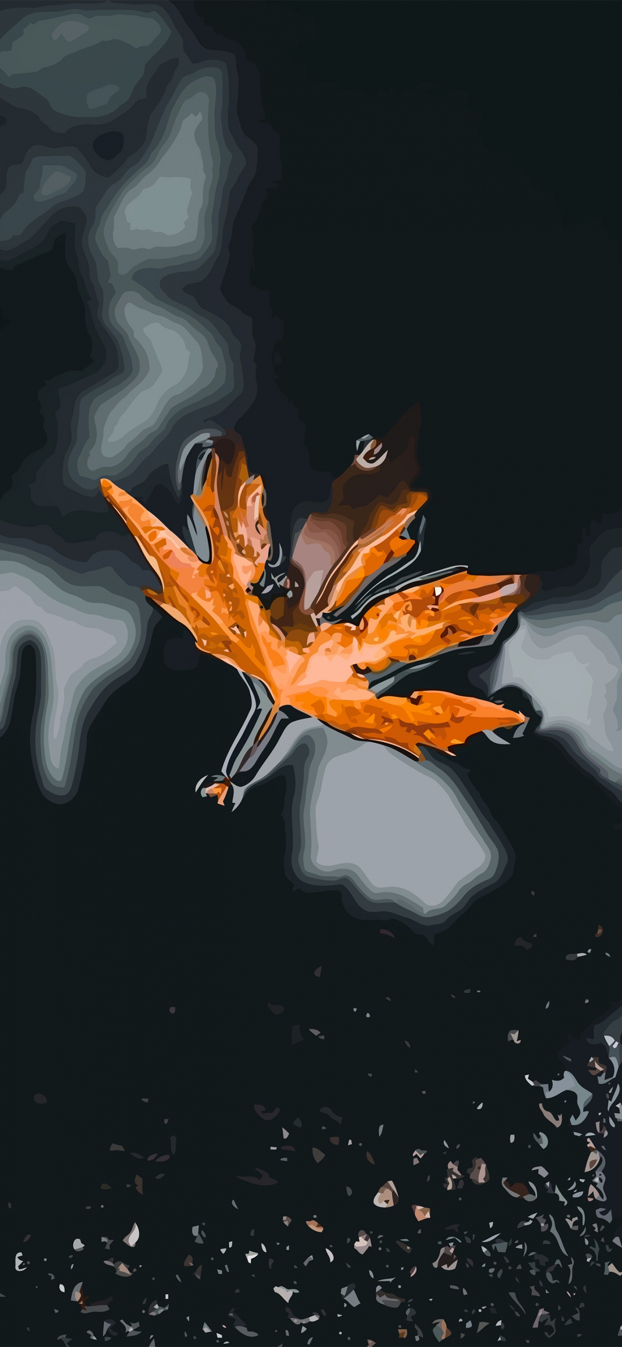 Orange, Liquid, Capuchon, Pétale, Eau. Wallpaper in 1242x2688 Resolution