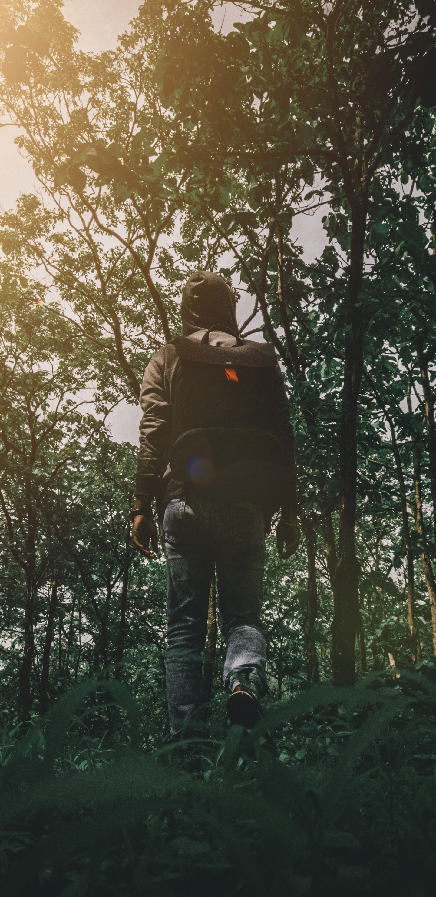 Homme en Veste Noire et Pantalon Noir Debout Sur un Terrain D'herbe Verte Pendant la Journée. Wallpaper in 1440x2960 Resolution