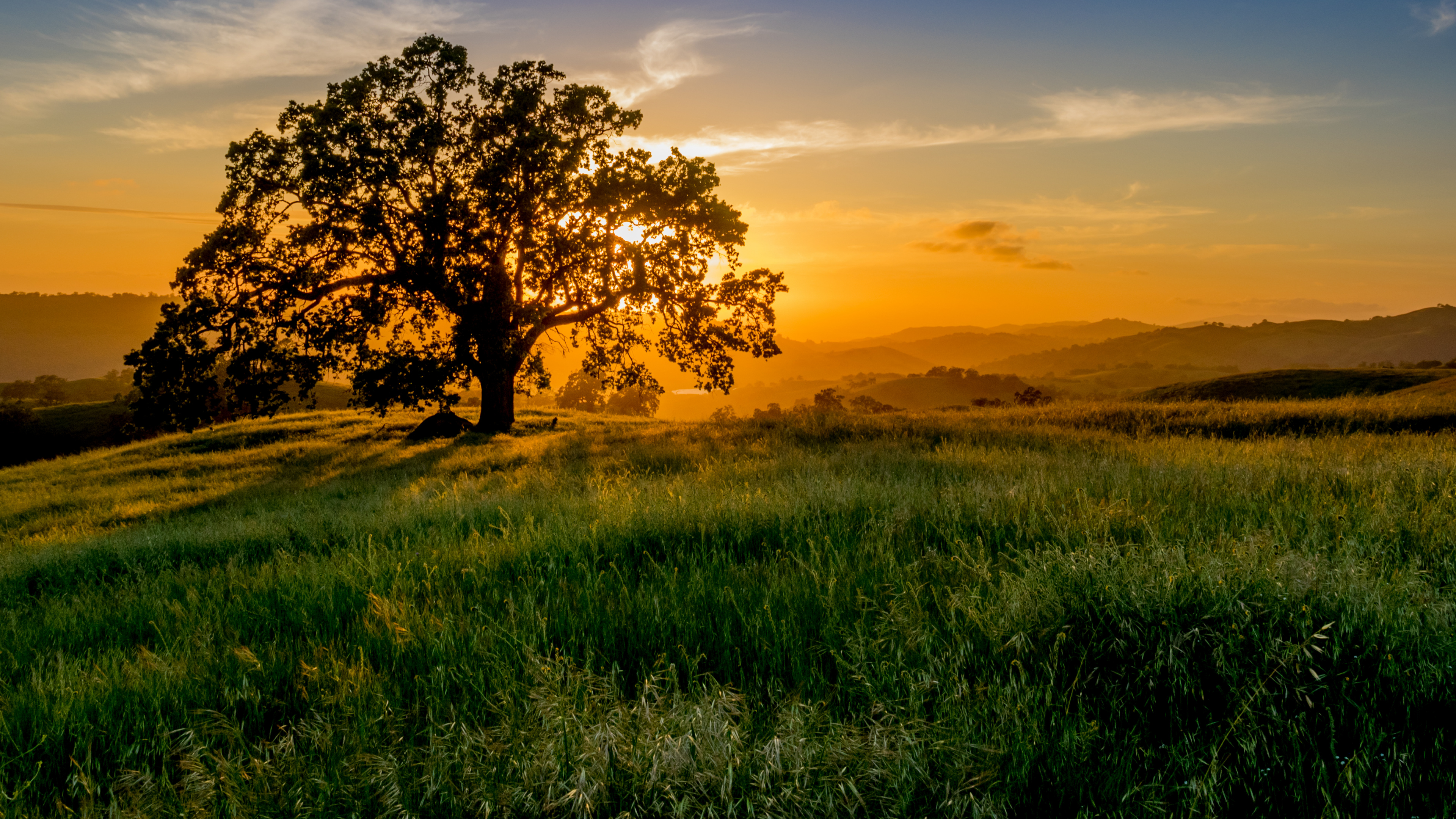 Champ D'herbe Verte Pendant le Coucher du Soleil. Wallpaper in 3840x2160 Resolution