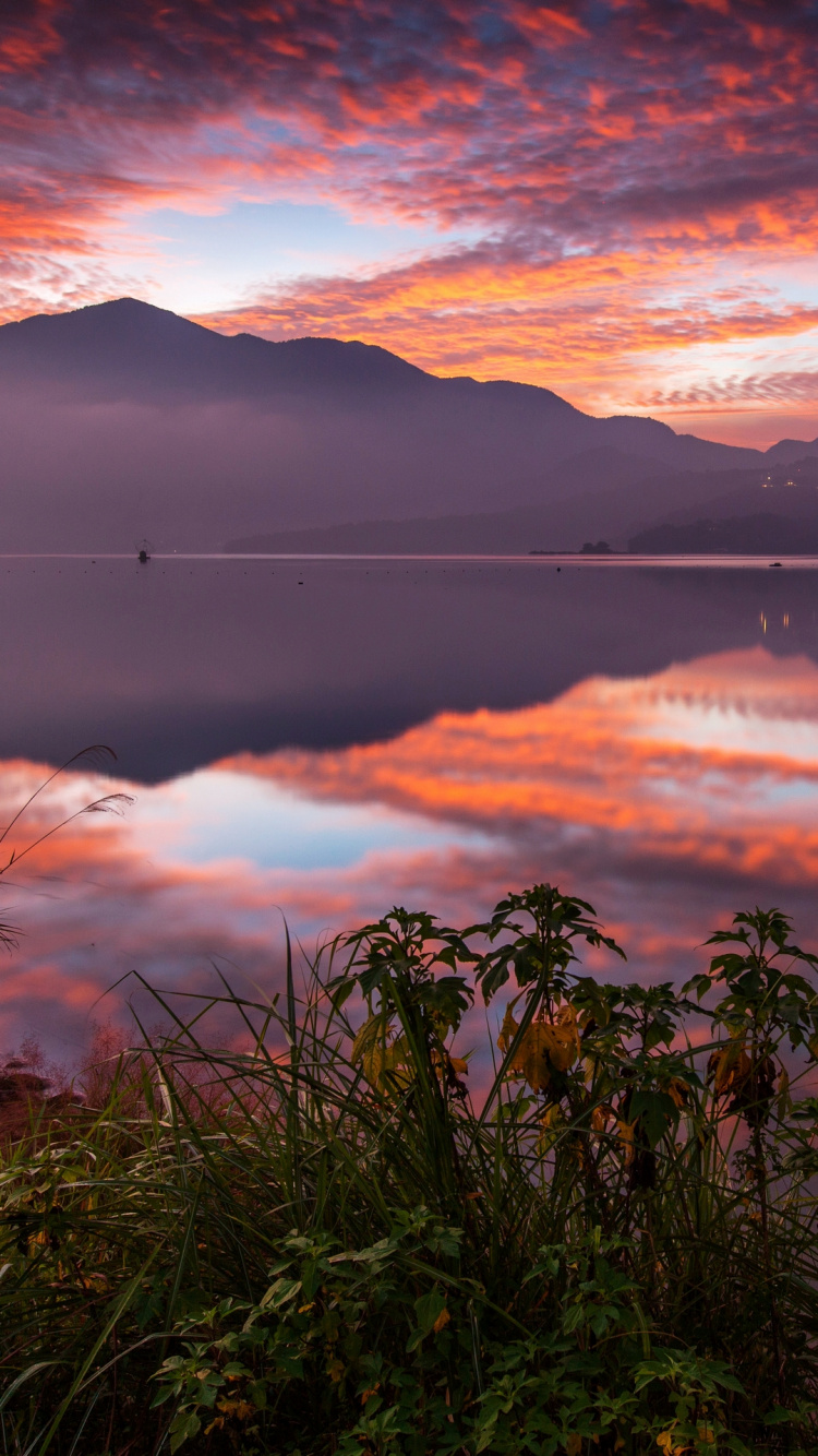 Herbe Verte Près du Lac Pendant le Coucher du Soleil. Wallpaper in 750x1334 Resolution