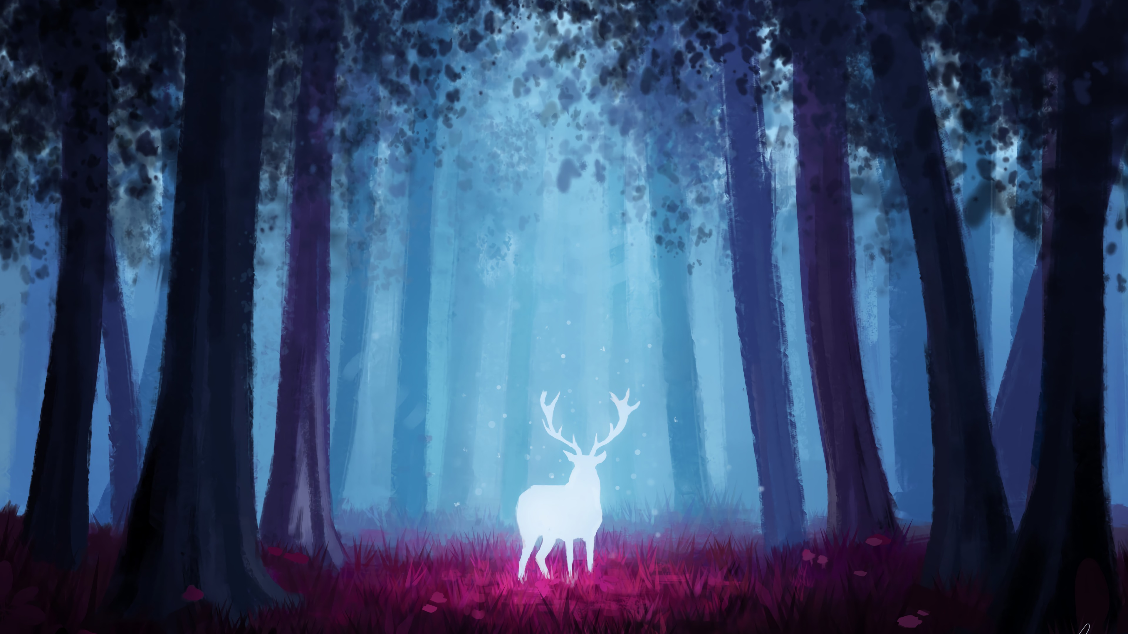 Black Cow on Purple Flower Field During Daytime. Wallpaper in 3840x2160 Resolution