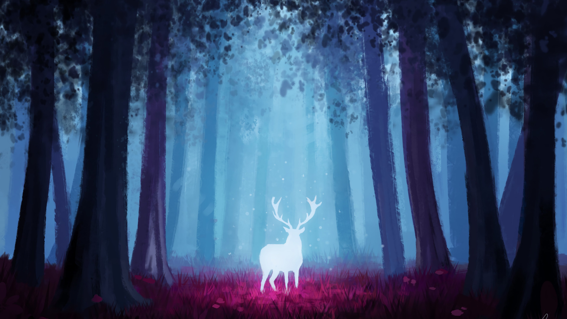 Vaca Negra en el Campo de Flores Moradas Durante el Día. Wallpaper in 1920x1080 Resolution