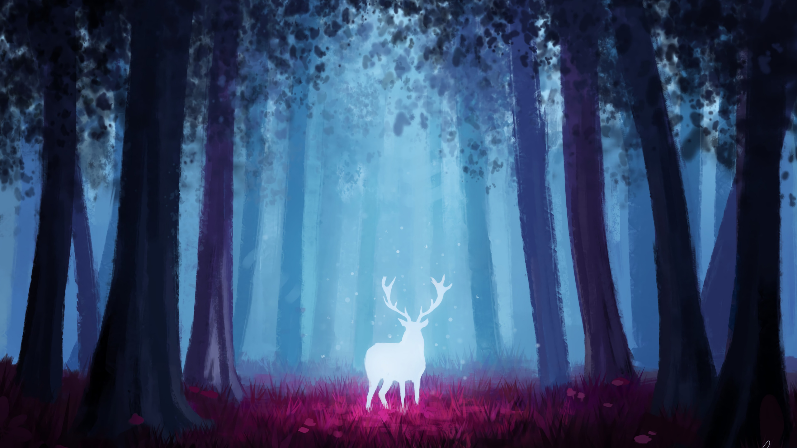 Vaca Negra en el Campo de Flores Moradas Durante el Día. Wallpaper in 2560x1440 Resolution