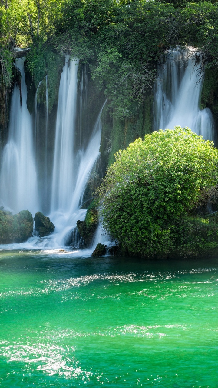 Árboles Verdes Junto a Cascadas Durante el Día. Wallpaper in 720x1280 Resolution