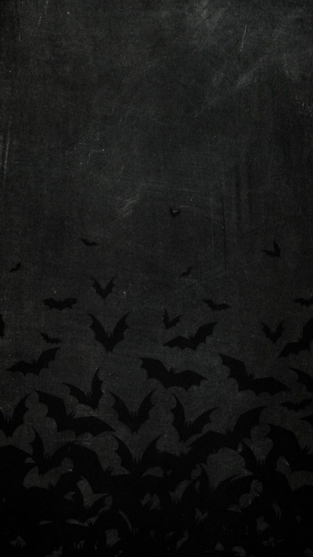 Schwarz Und Weiß, Wasser, KFZ-Reifen, Muster, Baum. Wallpaper in 1080x1920 Resolution