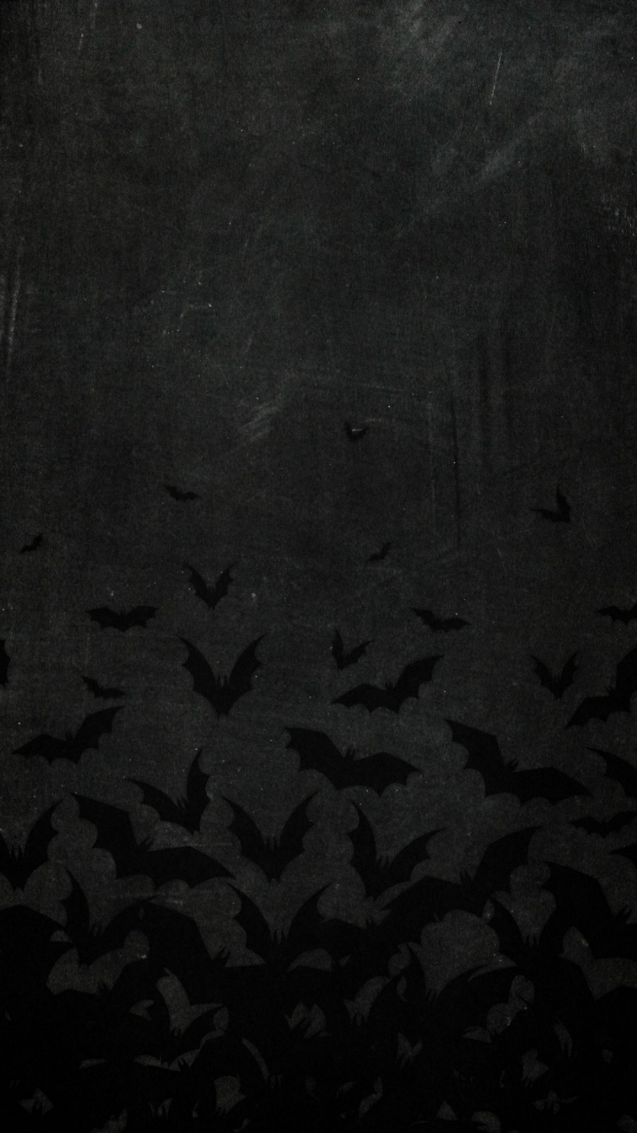 Schwarz Und Weiß, Wasser, KFZ-Reifen, Muster, Baum. Wallpaper in 720x1280 Resolution