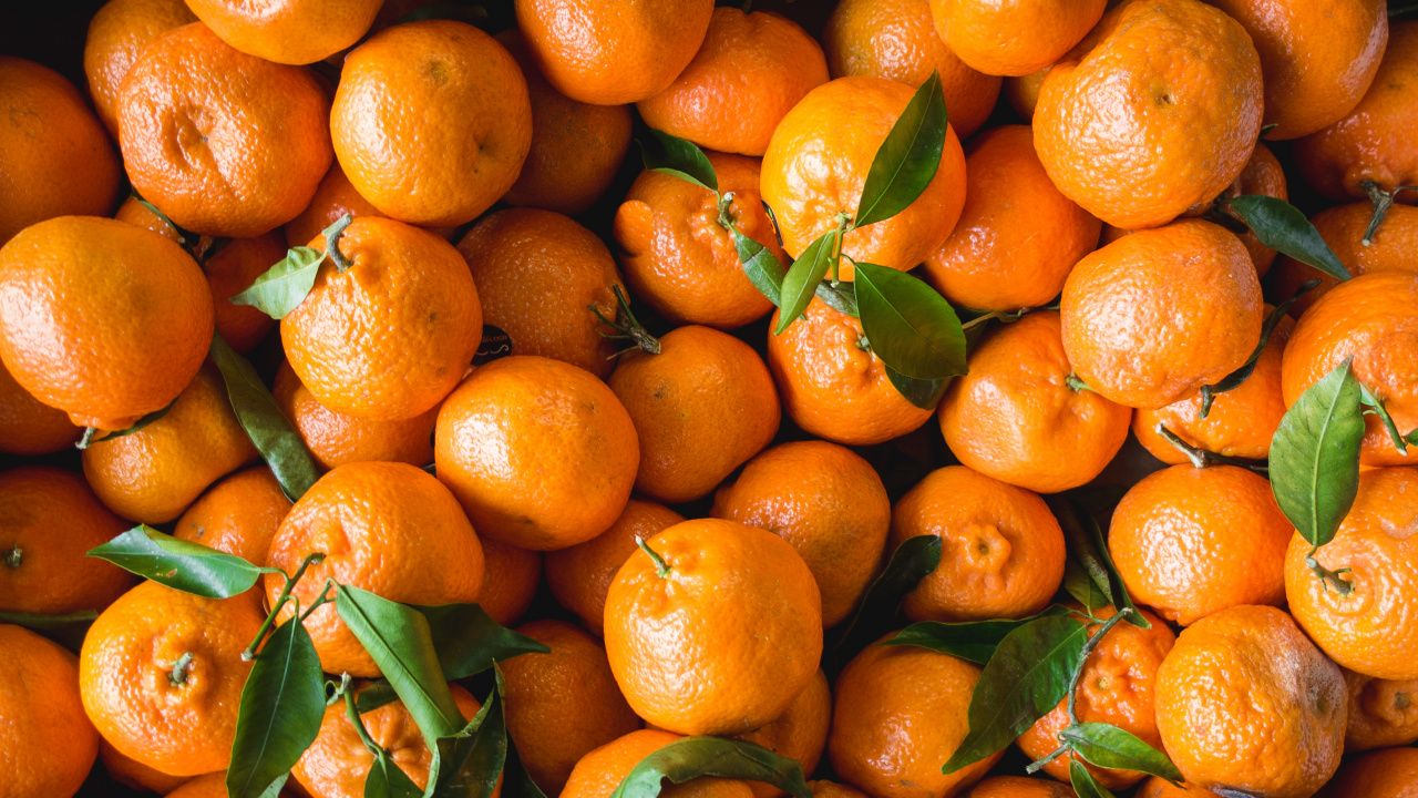 Fruits Orange Sur Récipient en Plastique Noir. Wallpaper in 1280x720 Resolution