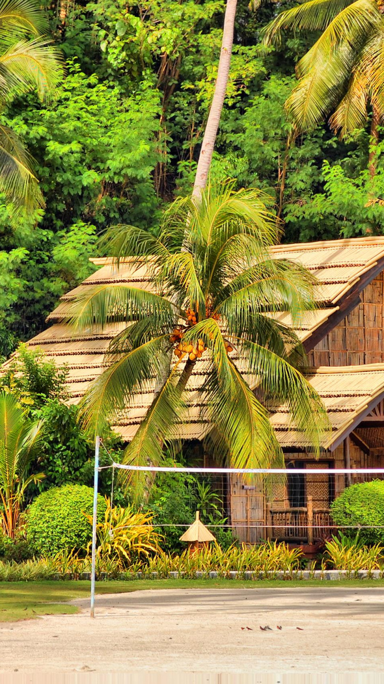 Maison en Bois Marron Entourée de Palmiers. Wallpaper in 750x1334 Resolution