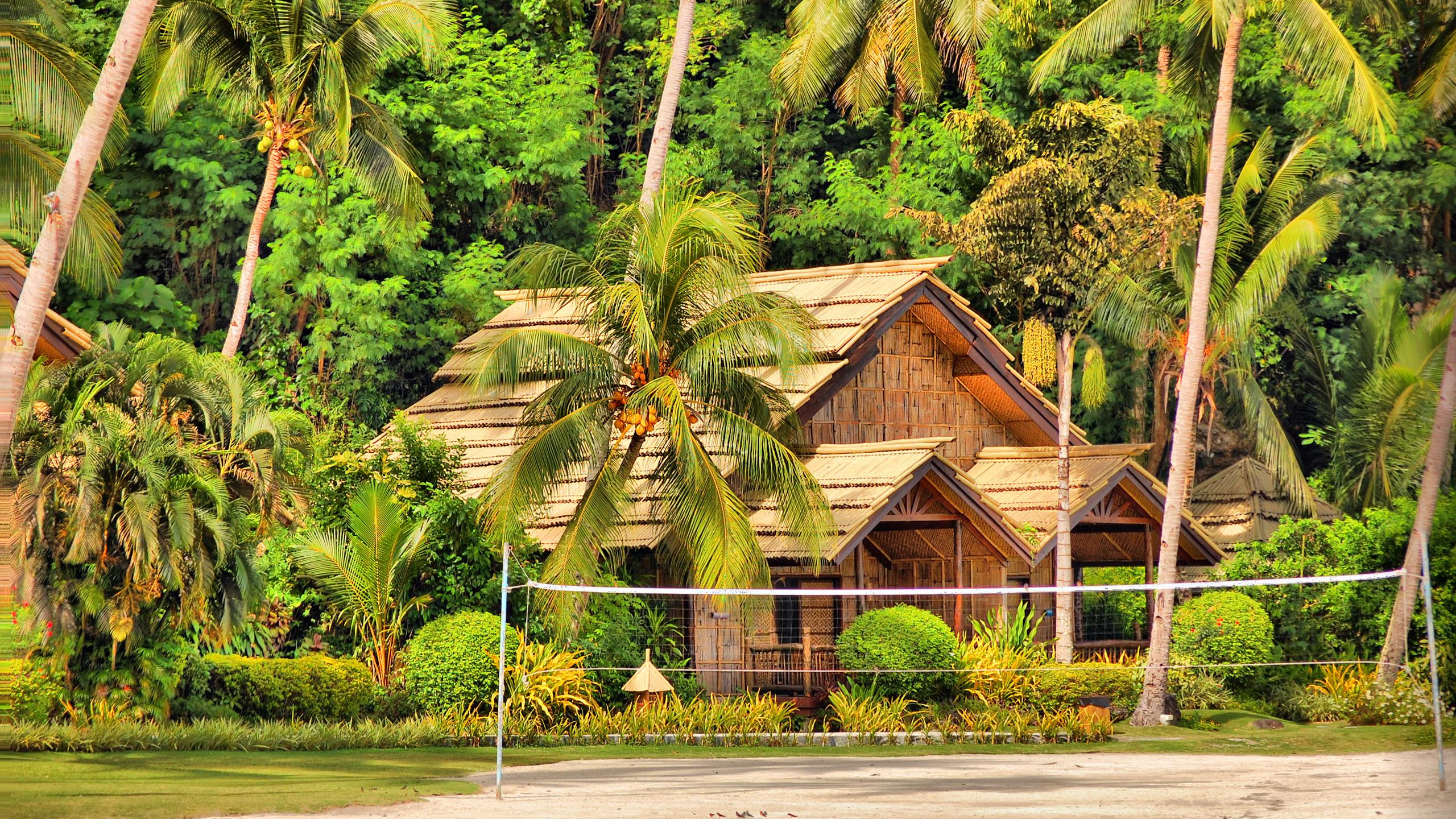 Brown Wooden House Surrounded by Palm Trees. Wallpaper in 2560x1440 Resolution