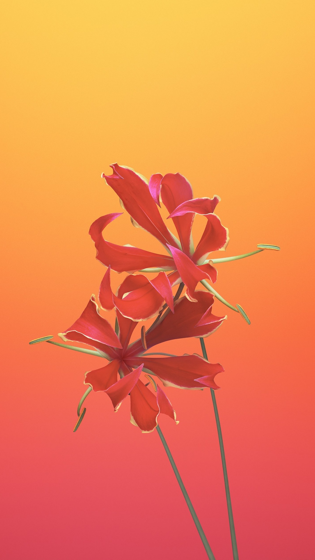 Ipad, Apple, IOS 11, Apples, Gloriosa Flower. Wallpaper in 1080x1920 Resolution
