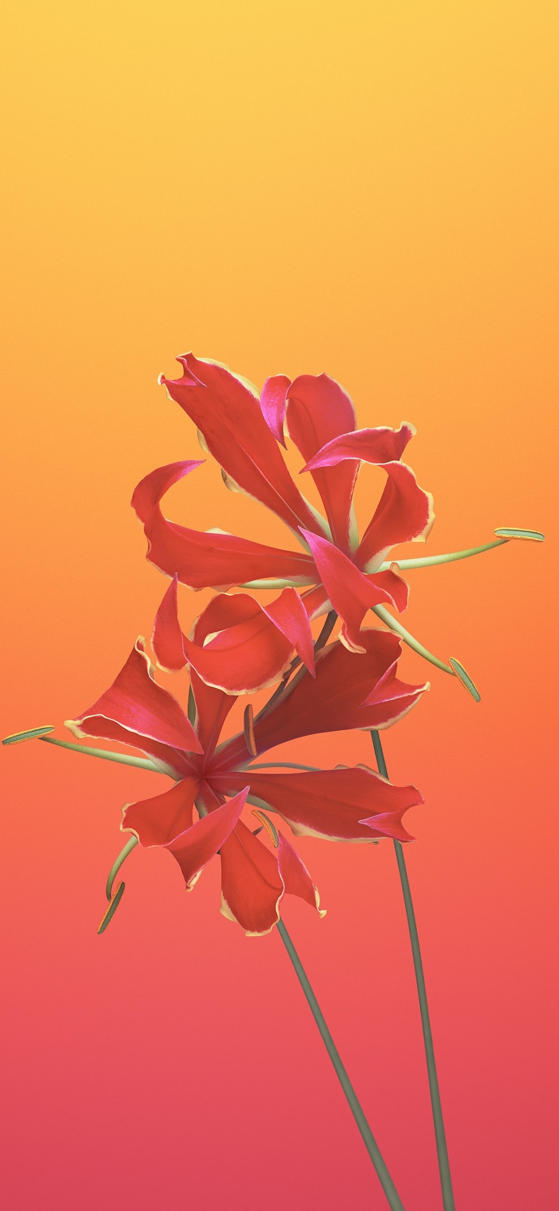 Ipad, Apple, IOS 11, Manzana, Flor de Gloriosa. Wallpaper in 1125x2436 Resolution