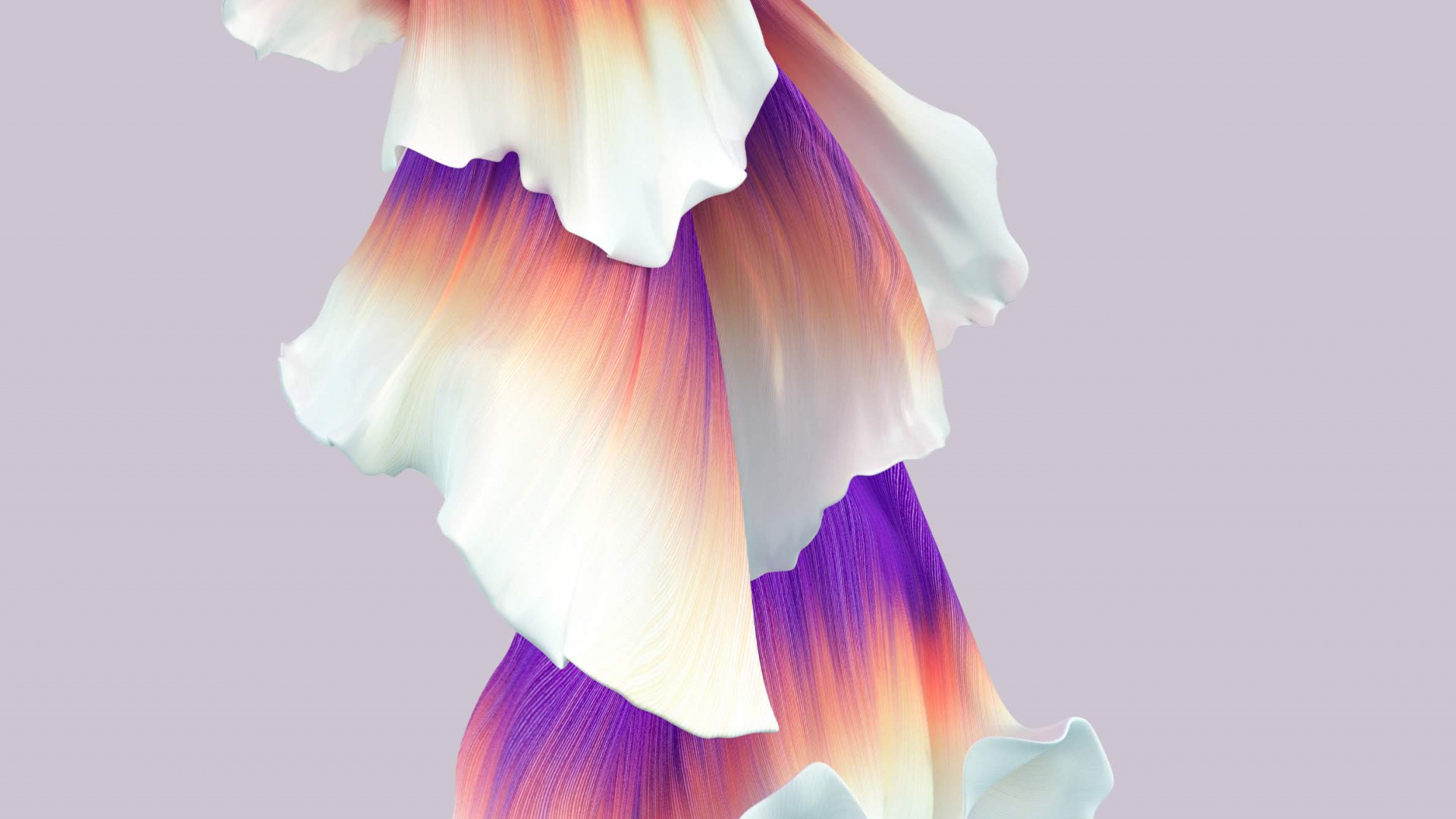 Huawei, Huawei Honor 20, Huawei Ehre 20 Pro, Tapete Ehre 20 Pro, Ehre 10. Wallpaper in 1920x1080 Resolution