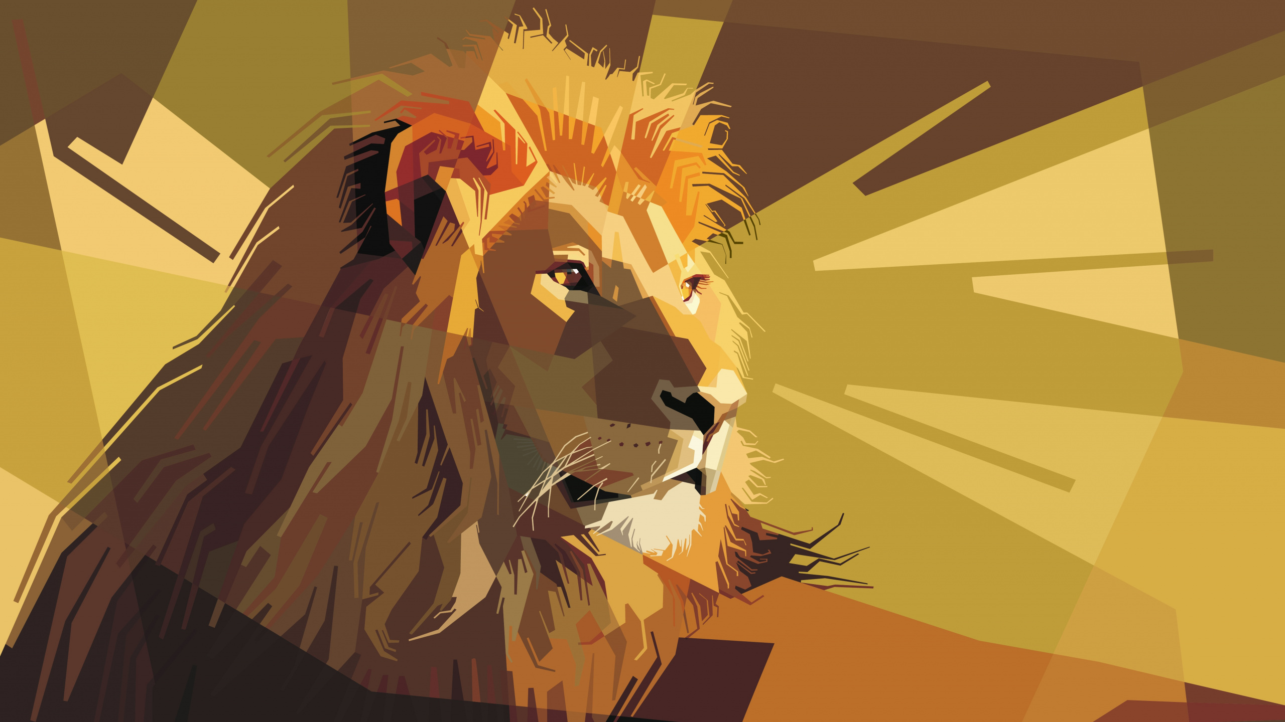 Lion With Orange and Black Background. Wallpaper in 2560x1440 Resolution