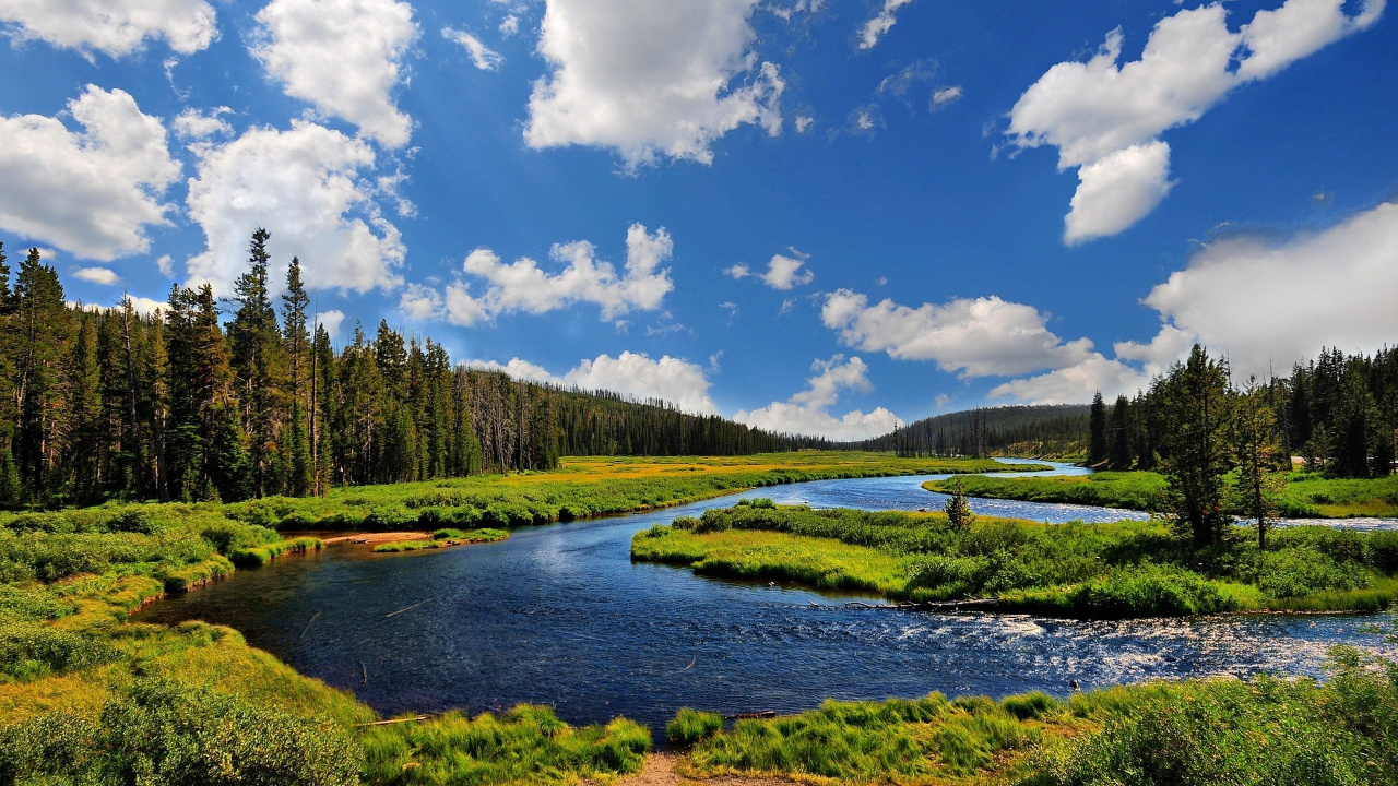 Green Trees Beside River Under Blue Sky During Daytime. Wallpaper in 1280x720 Resolution