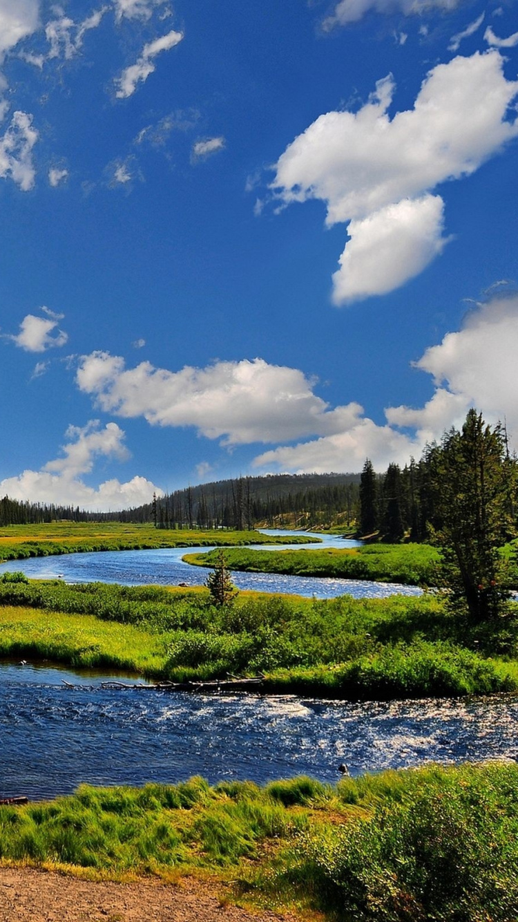 Green Trees Beside River Under Blue Sky During Daytime. Wallpaper in 750x1334 Resolution