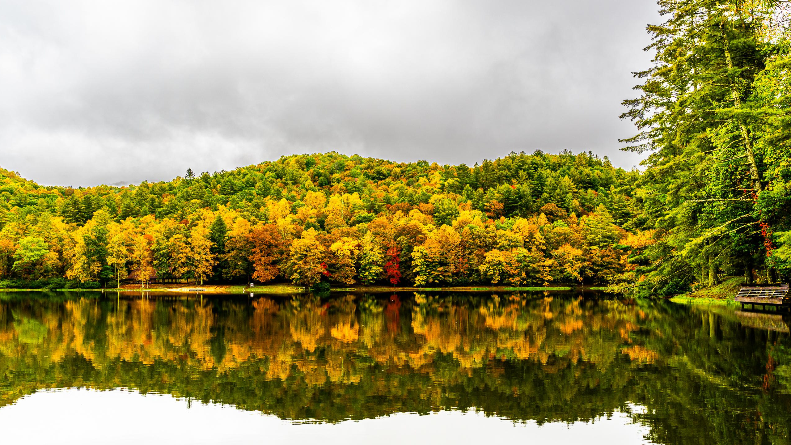 Reflexion, Vegetation, Feuchtgebiet, Cloud, Wasser. Wallpaper in 2560x1440 Resolution