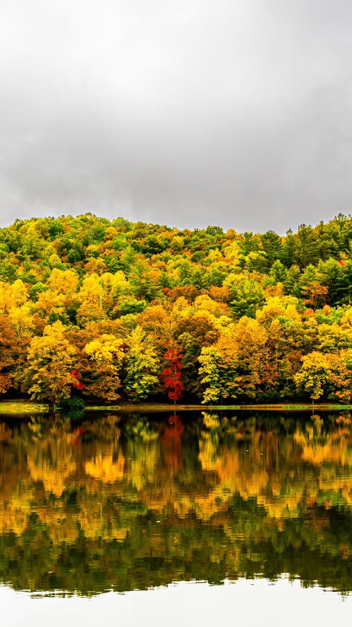 Reflexion, Vegetation, Feuchtgebiet, Cloud, Wasser. Wallpaper in 720x1280 Resolution