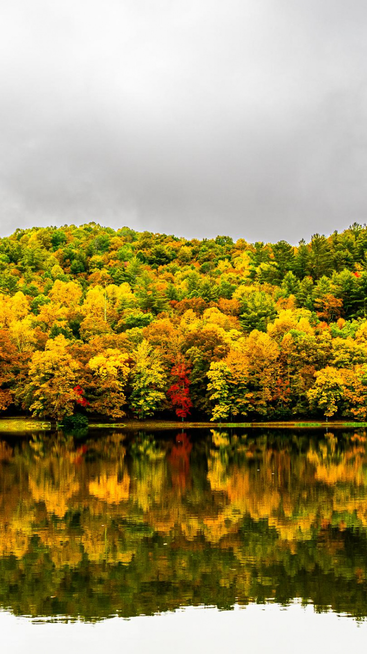 Reflexion, Vegetation, Feuchtgebiet, Cloud, Wasser. Wallpaper in 750x1334 Resolution