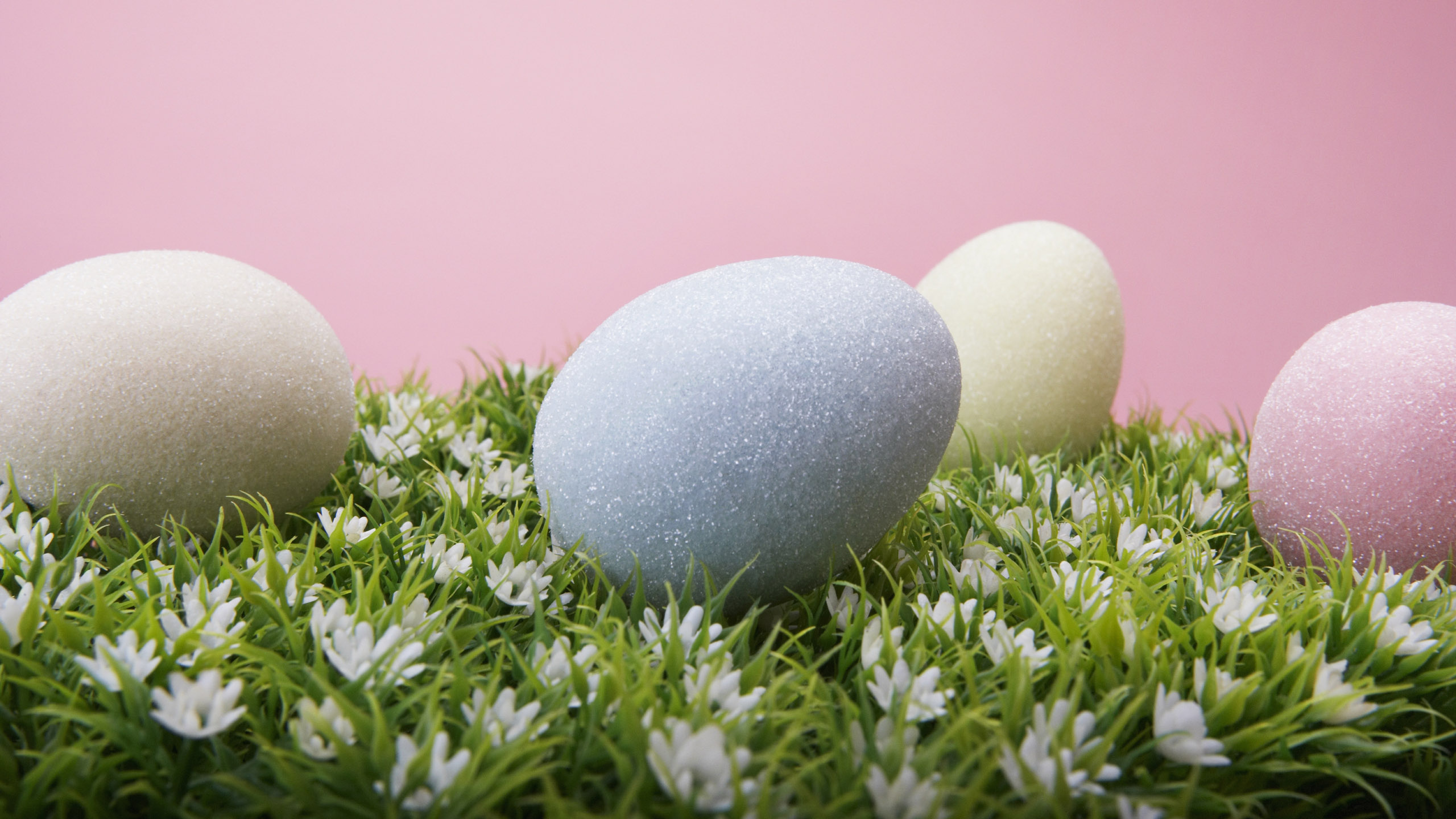 Osterei, Ei, Gras, Ostern, Auferstehung. Wallpaper in 2560x1440 Resolution