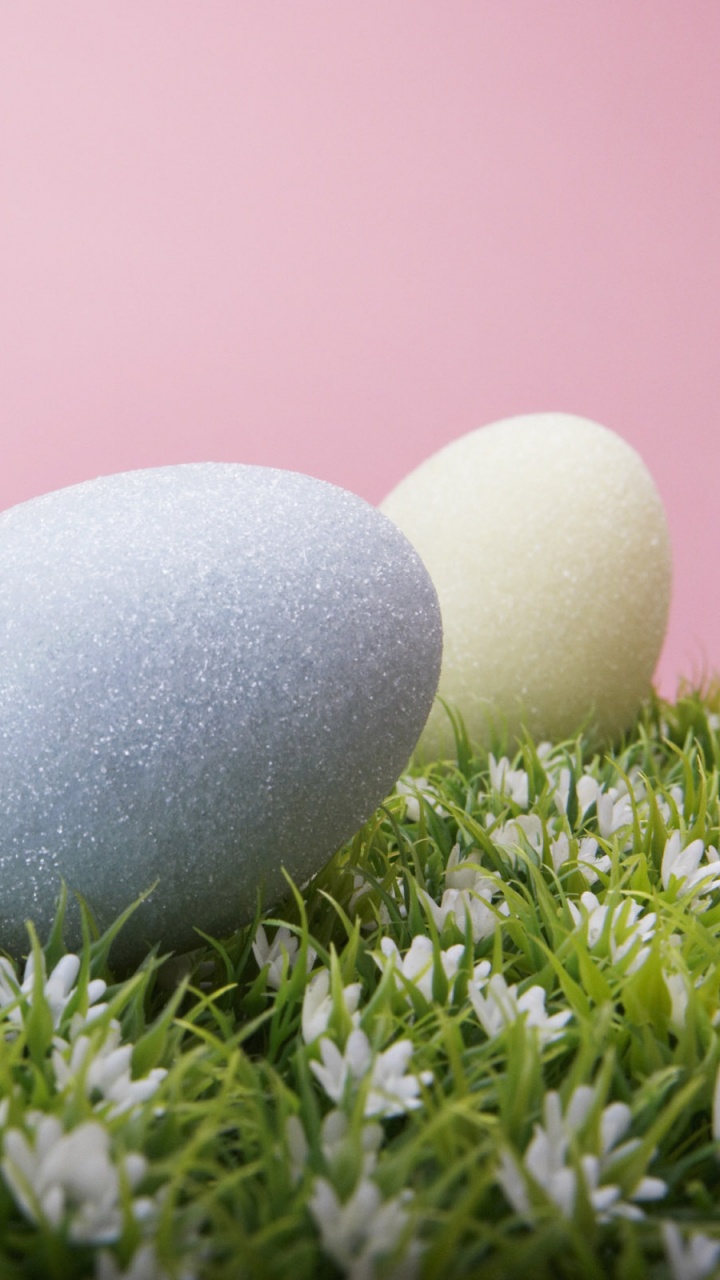 Easter Egg, Egg, Grass, Easter, Holiday. Wallpaper in 720x1280 Resolution