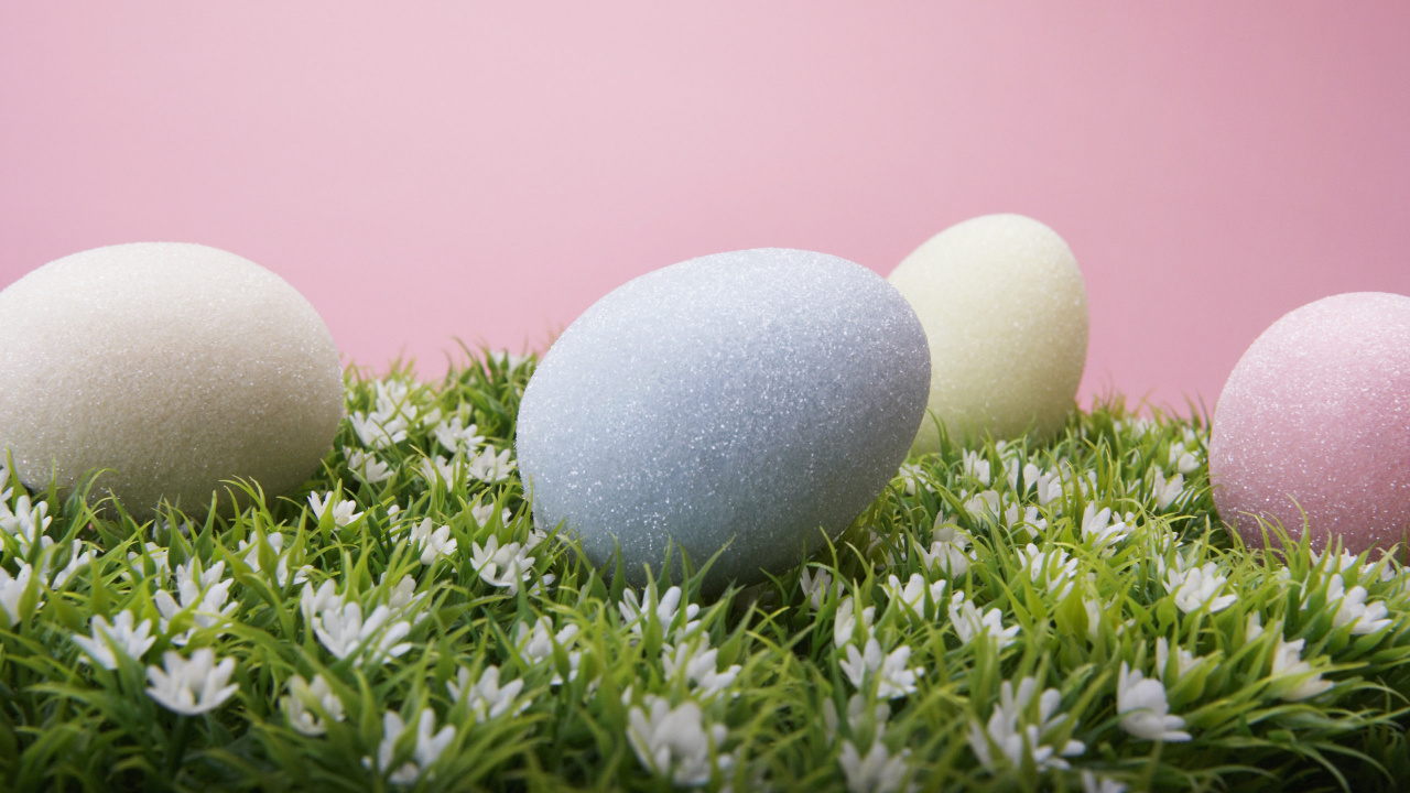 Oeuf de Pâques, Oeuf, Pâques, Résurrection, Tradition. Wallpaper in 1280x720 Resolution