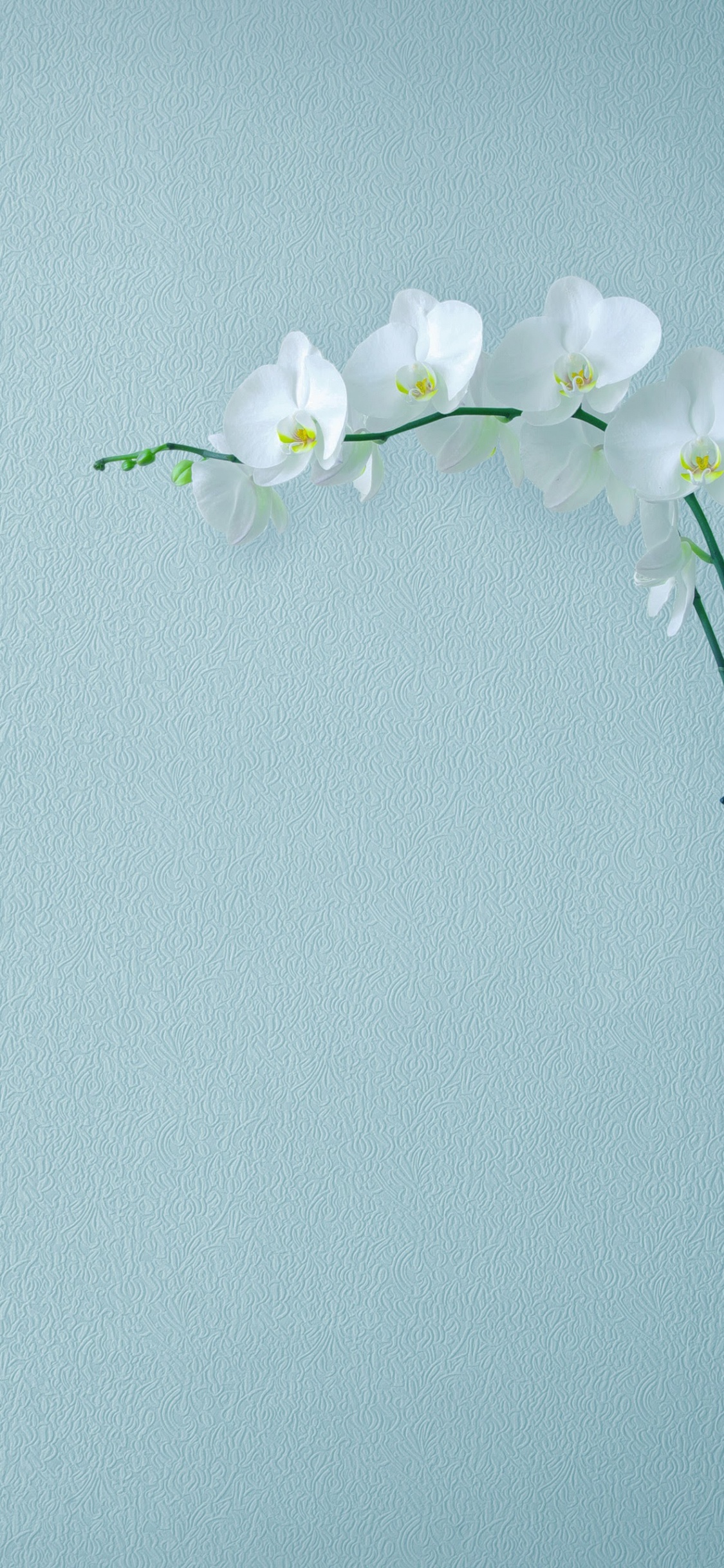 Huawei, Huawei Mate, Huawei Mate 10, Huawei Mate 10 Pro, Smartphone. Wallpaper in 1125x2436 Resolution