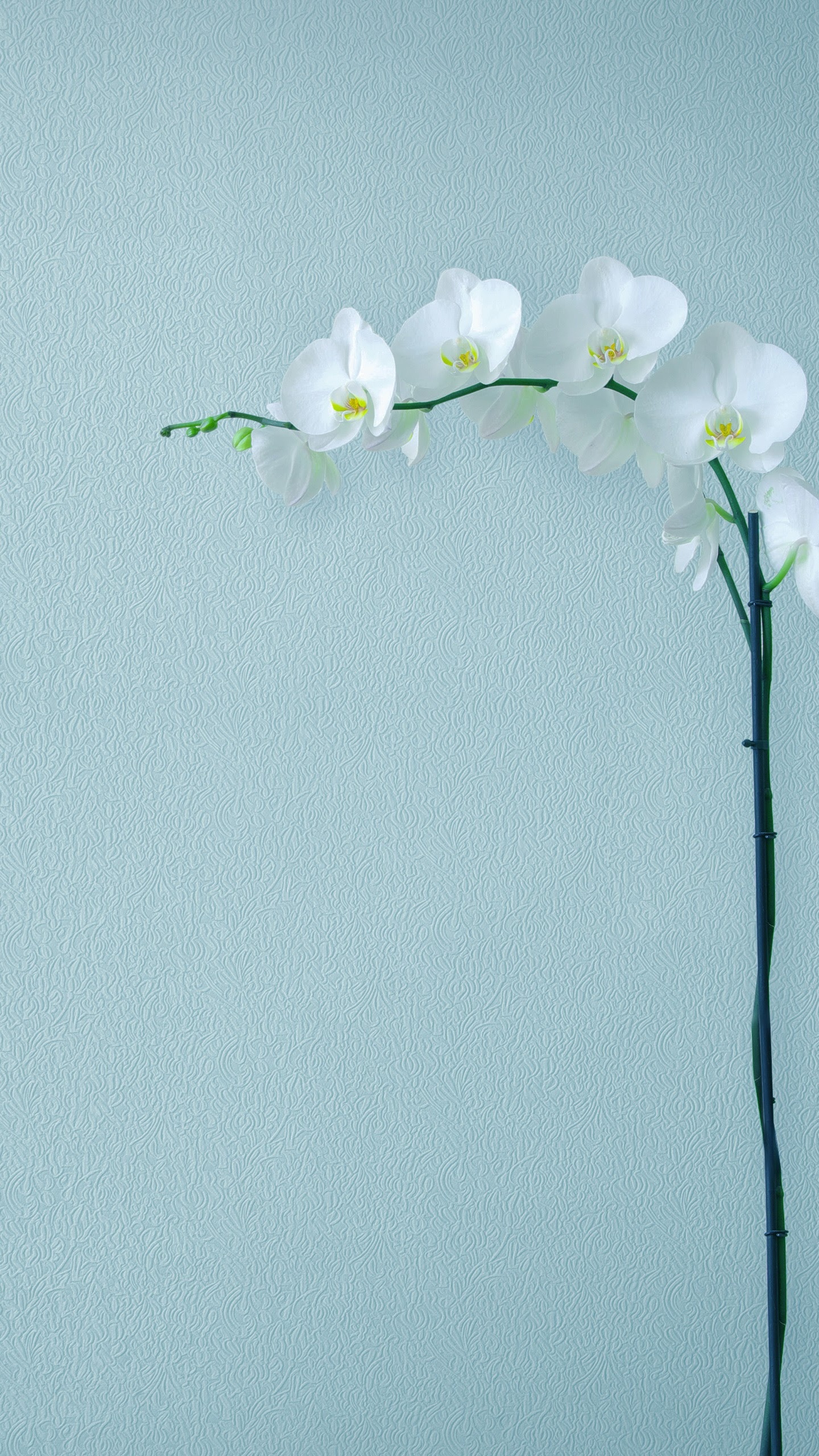 Huawei, Huawei Mate, Huawei Mate 10, Huawei Mate 10 Pro, Smartphone. Wallpaper in 1440x2560 Resolution