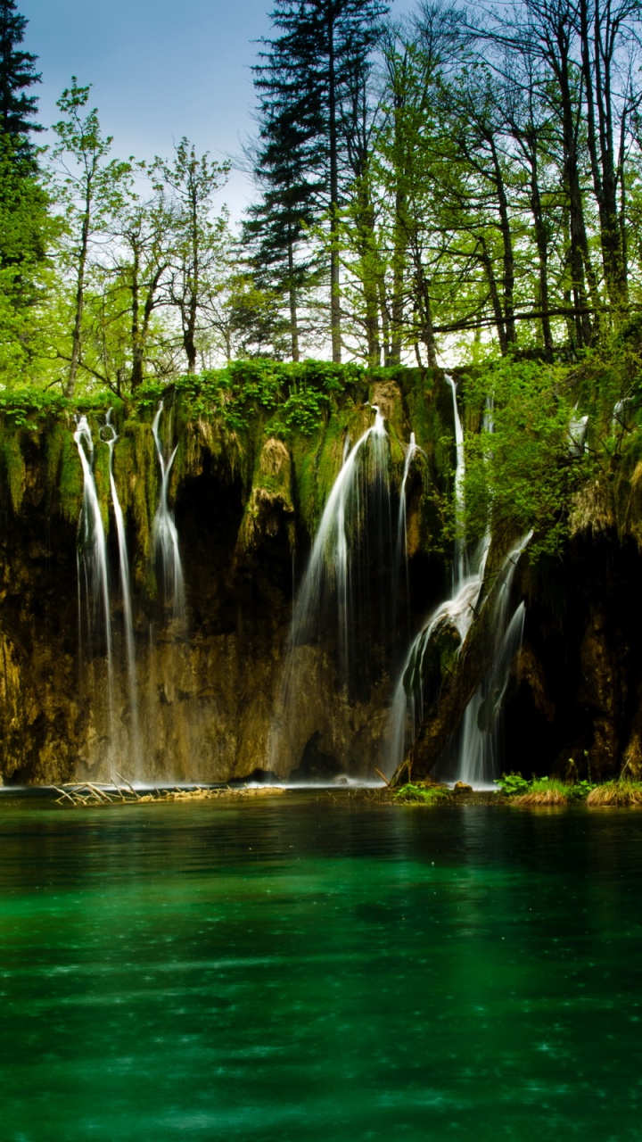 Water Falls in The Middle of Green Trees. Wallpaper in 720x1280 Resolution