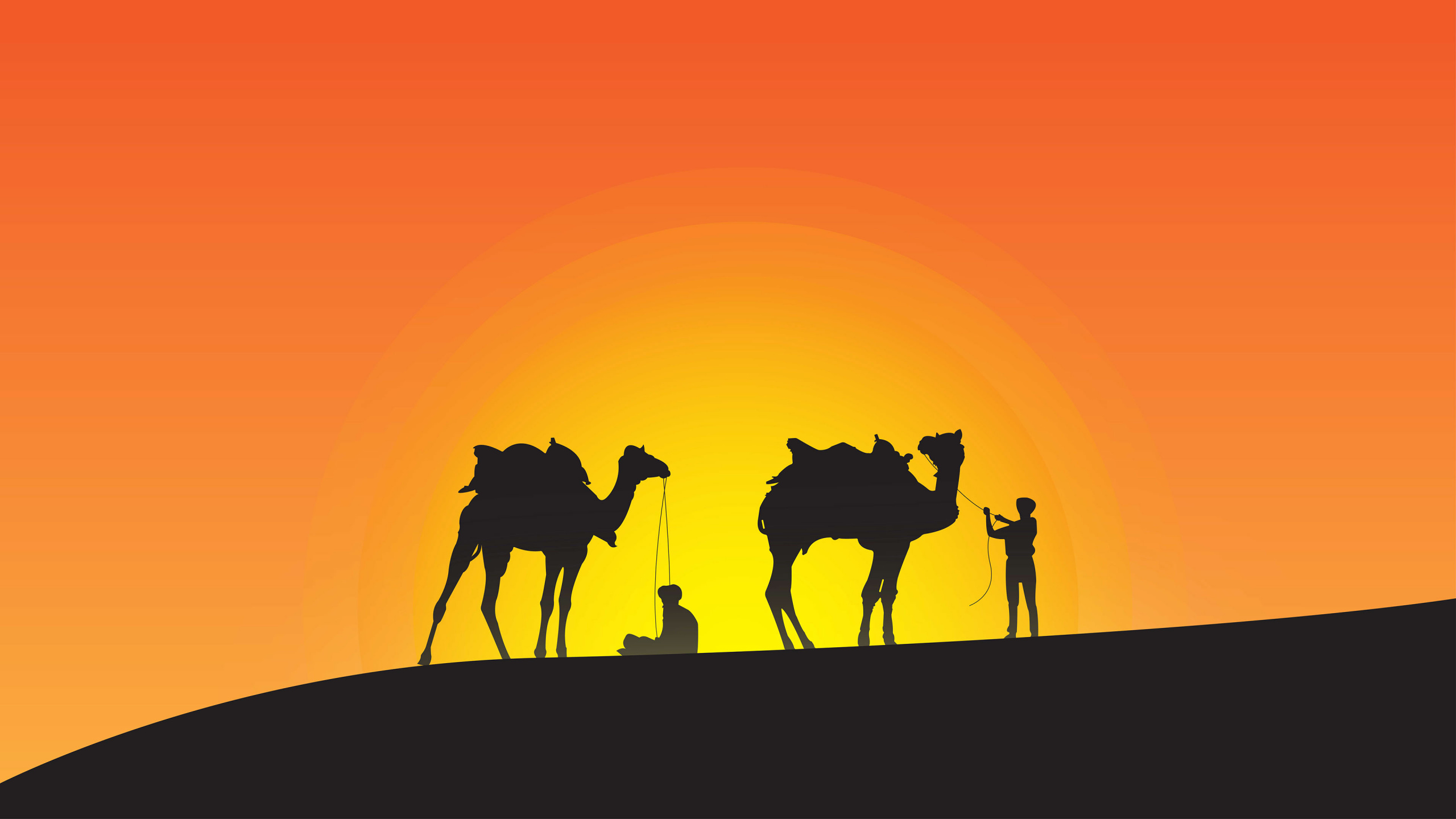Silhouette de Chevaux Sur Terrain Pendant le Coucher du Soleil. Wallpaper in 2560x1440 Resolution