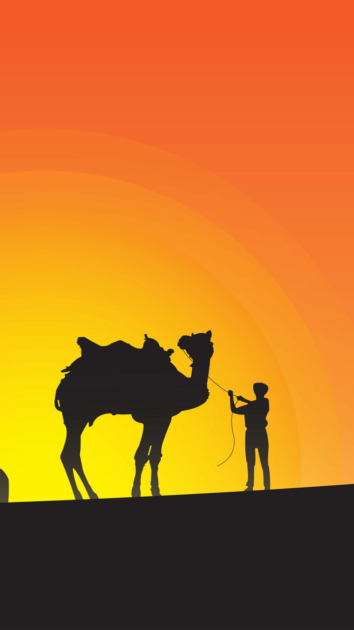 Silhouette de Chevaux Sur Terrain Pendant le Coucher du Soleil. Wallpaper in 720x1280 Resolution