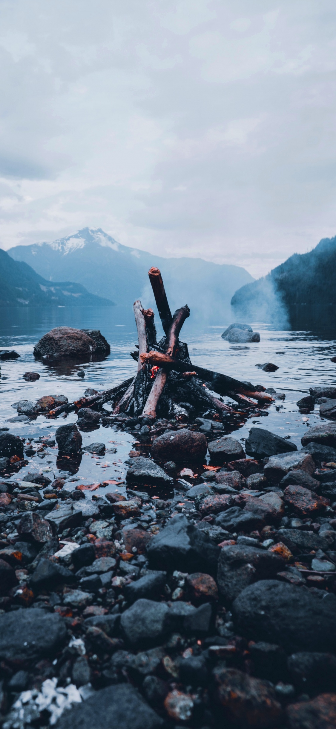 Wasser, Baum, Wasserressourcen, Holz, Rock. Wallpaper in 1125x2436 Resolution