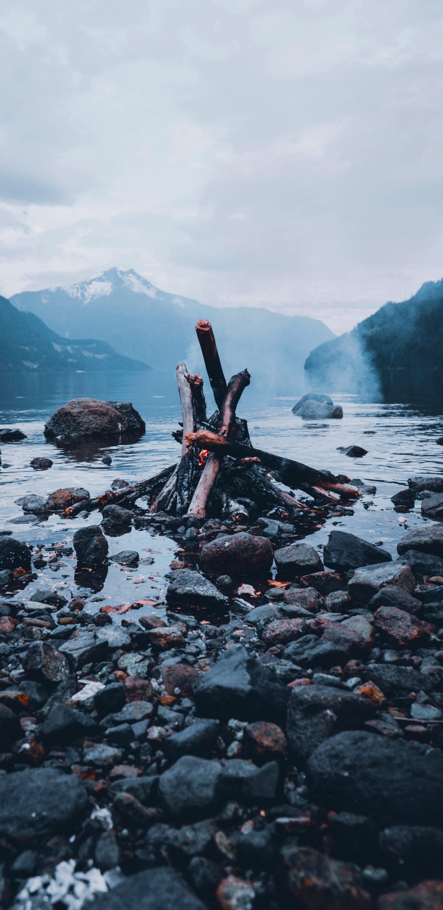 Wasser, Baum, Wasserressourcen, Holz, Rock. Wallpaper in 1440x2960 Resolution