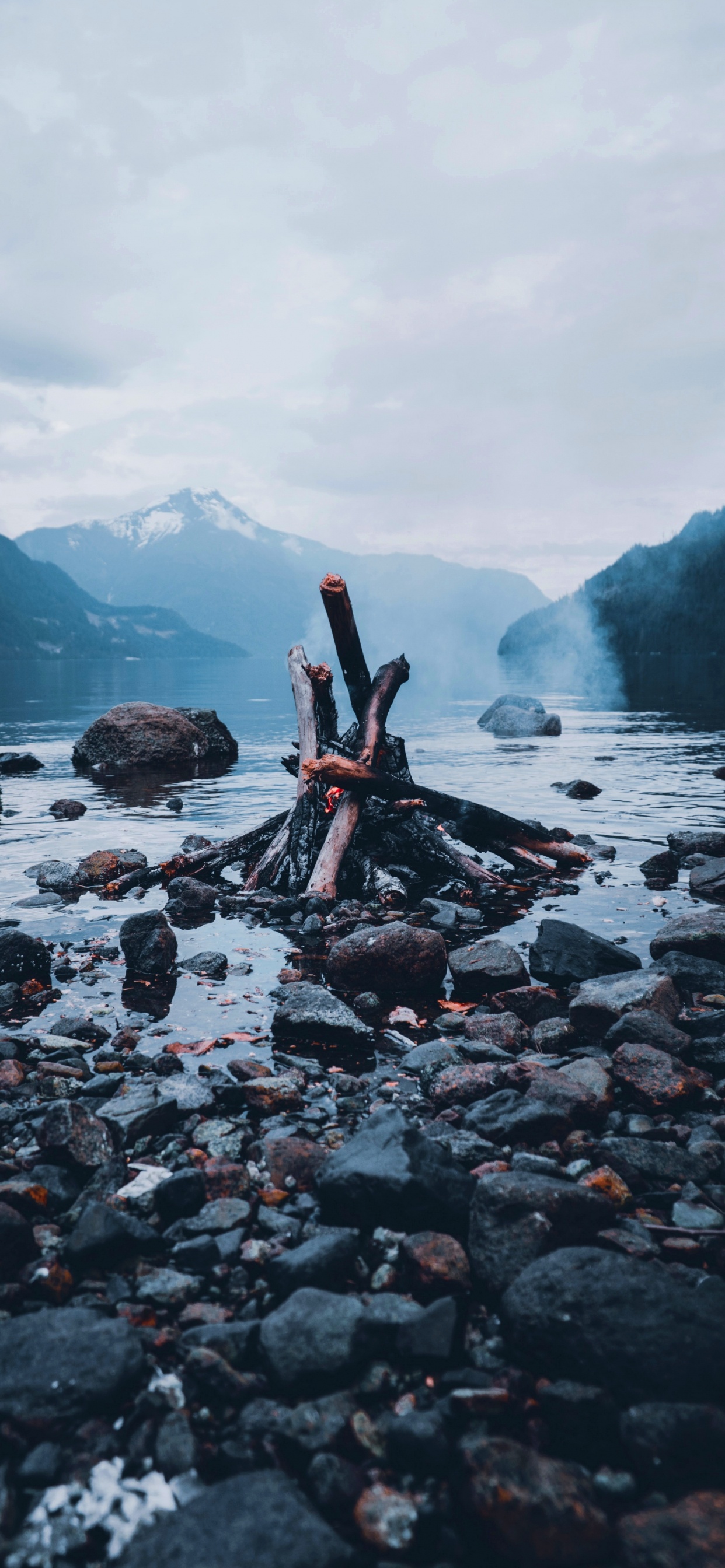 Water, Tree, Water Resources, Wood, Rock. Wallpaper in 1242x2688 Resolution