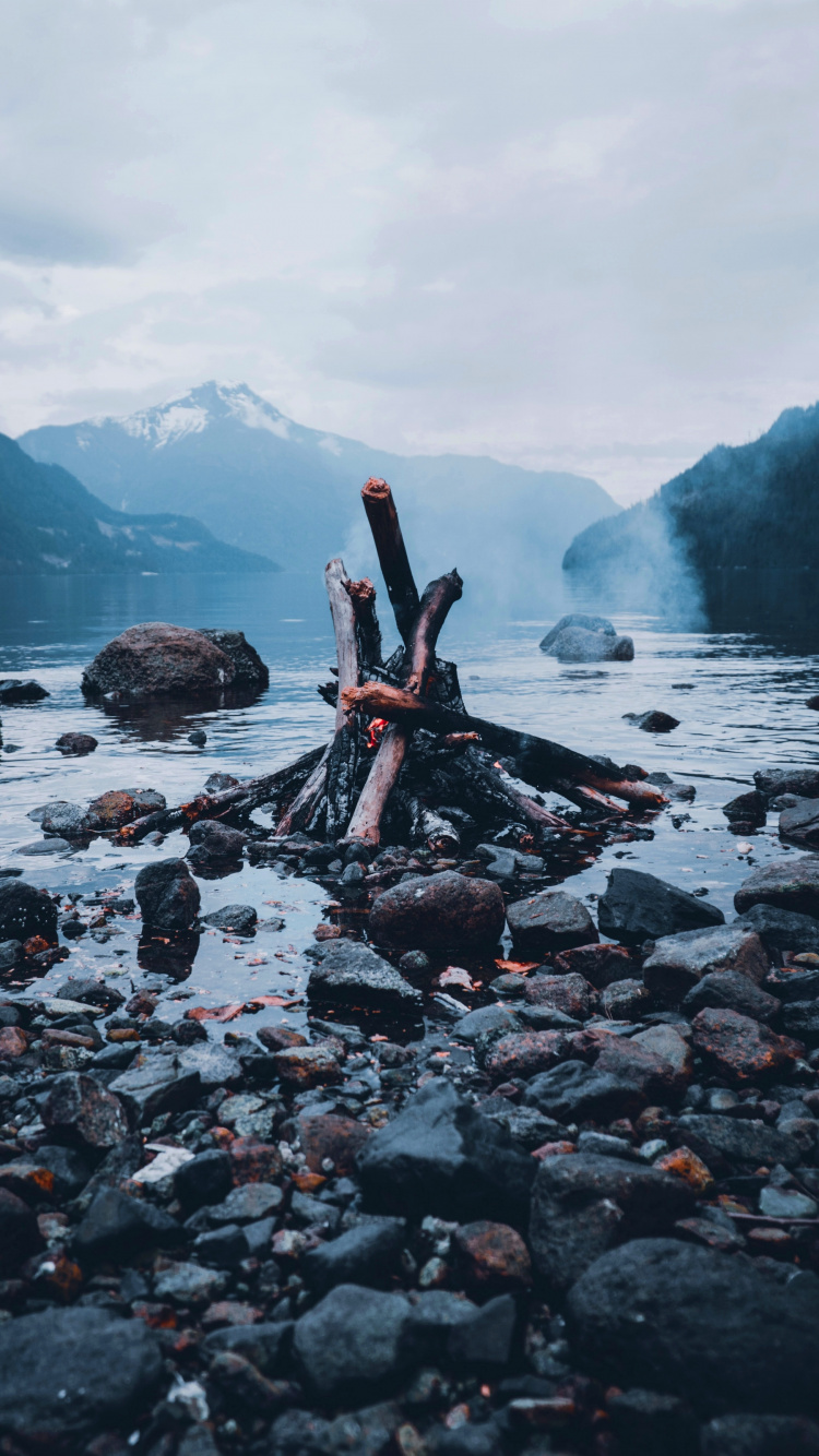 Water, Tree, Water Resources, Wood, Rock. Wallpaper in 750x1334 Resolution