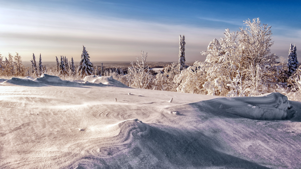Schneebedeckte Bäume Auf Schneebedecktem Feld Tagsüber. Wallpaper in 1280x720 Resolution