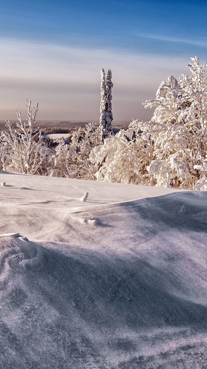 Schneebedeckte Bäume Auf Schneebedecktem Feld Tagsüber. Wallpaper in 720x1280 Resolution