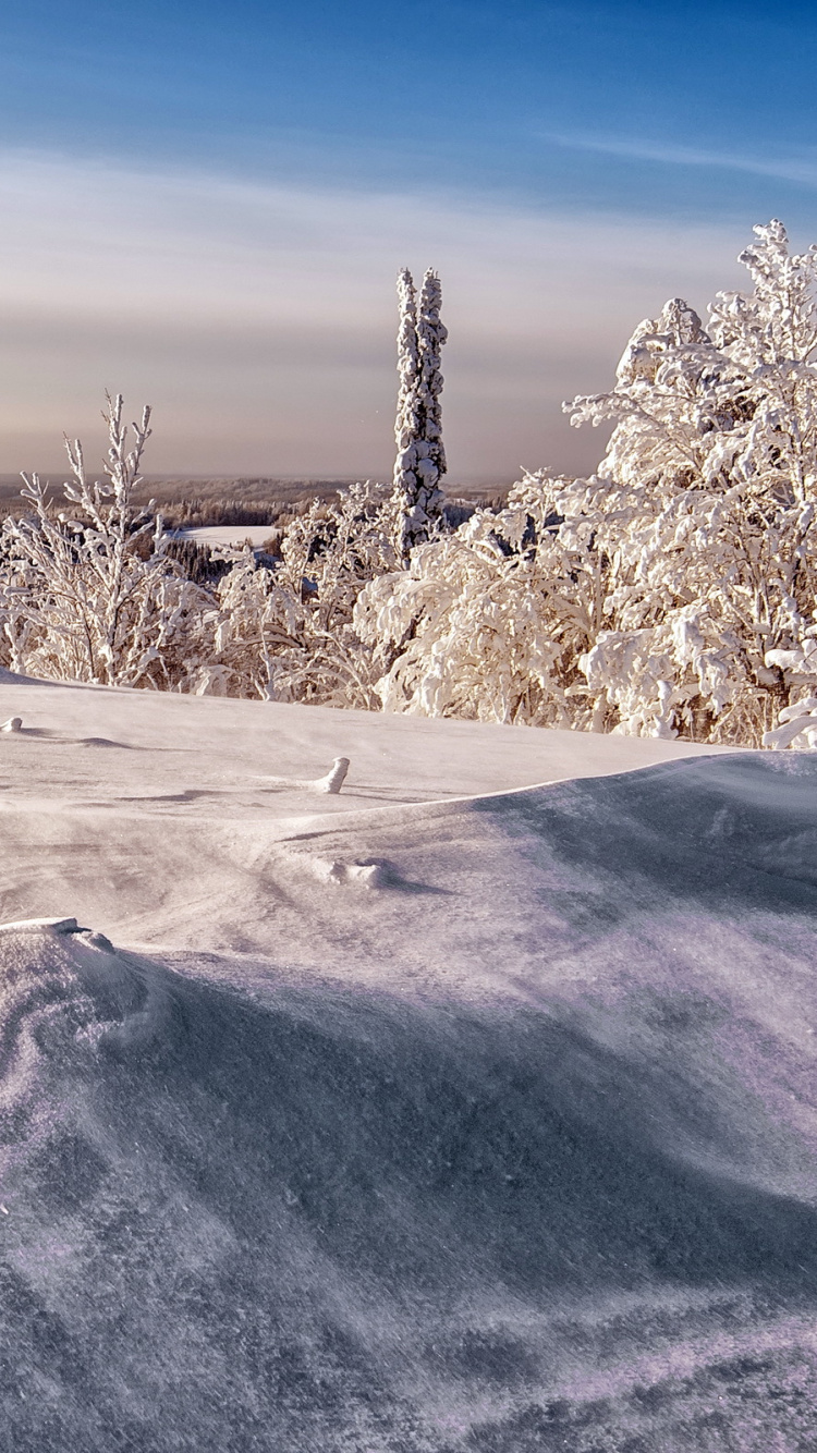 Schneebedeckte Bäume Auf Schneebedecktem Feld Tagsüber. Wallpaper in 750x1334 Resolution