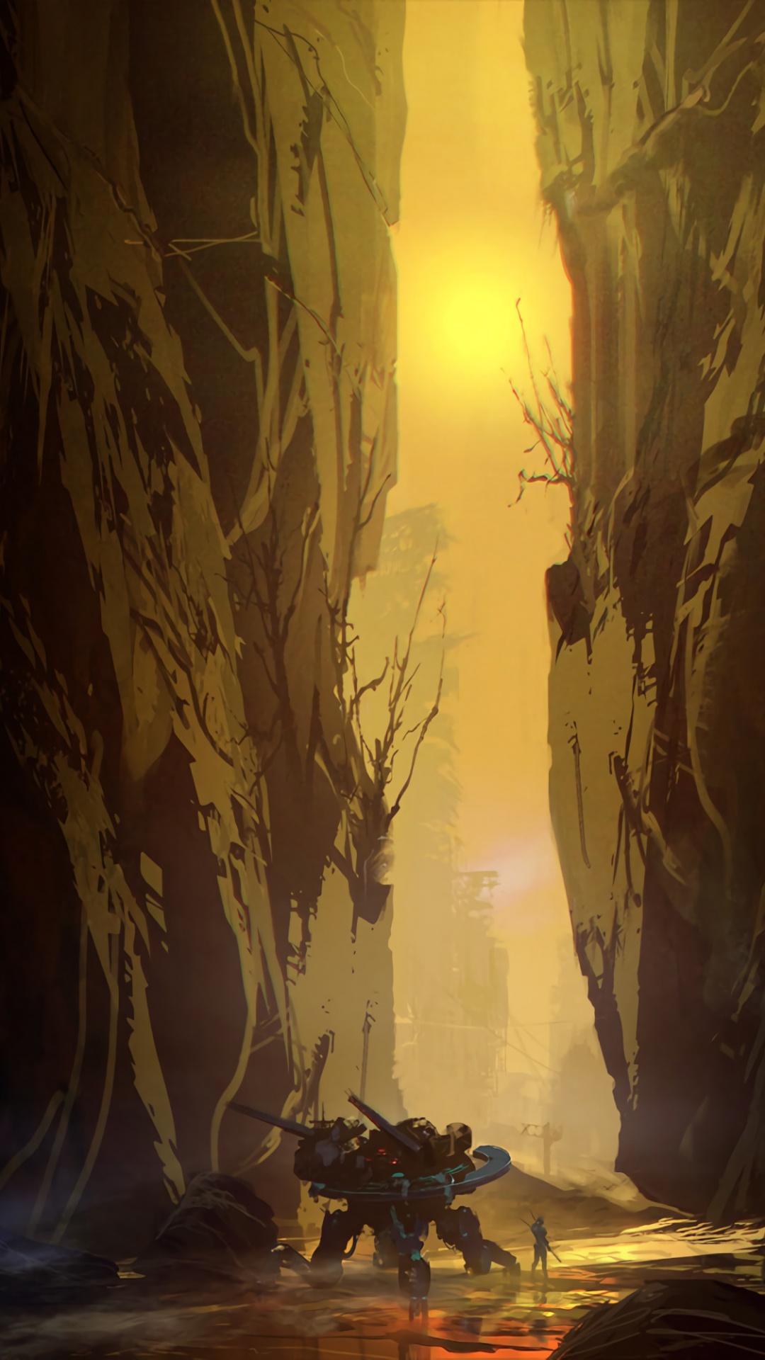 气氛, 光, 木, 生物群落 壁纸 1080x1920 允许