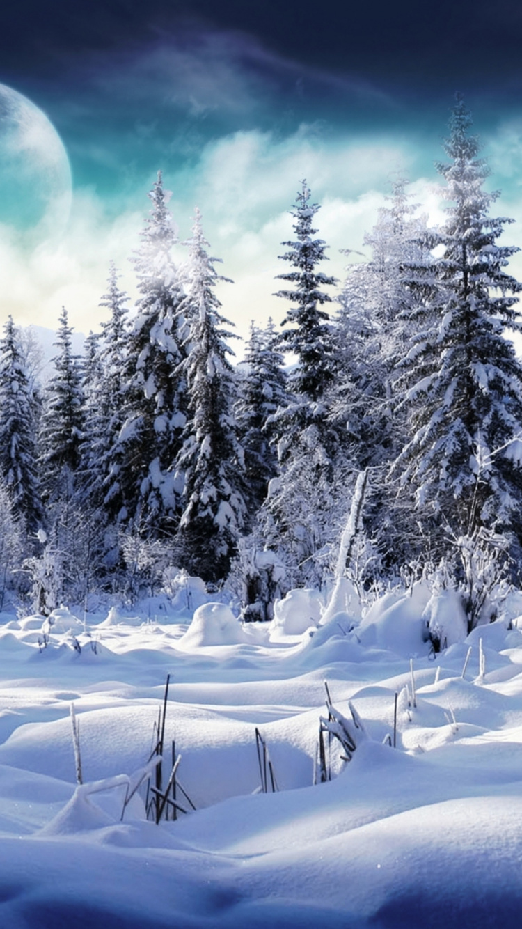 Pinos Cubiertos de Nieve Durante el Día. Wallpaper in 750x1334 Resolution